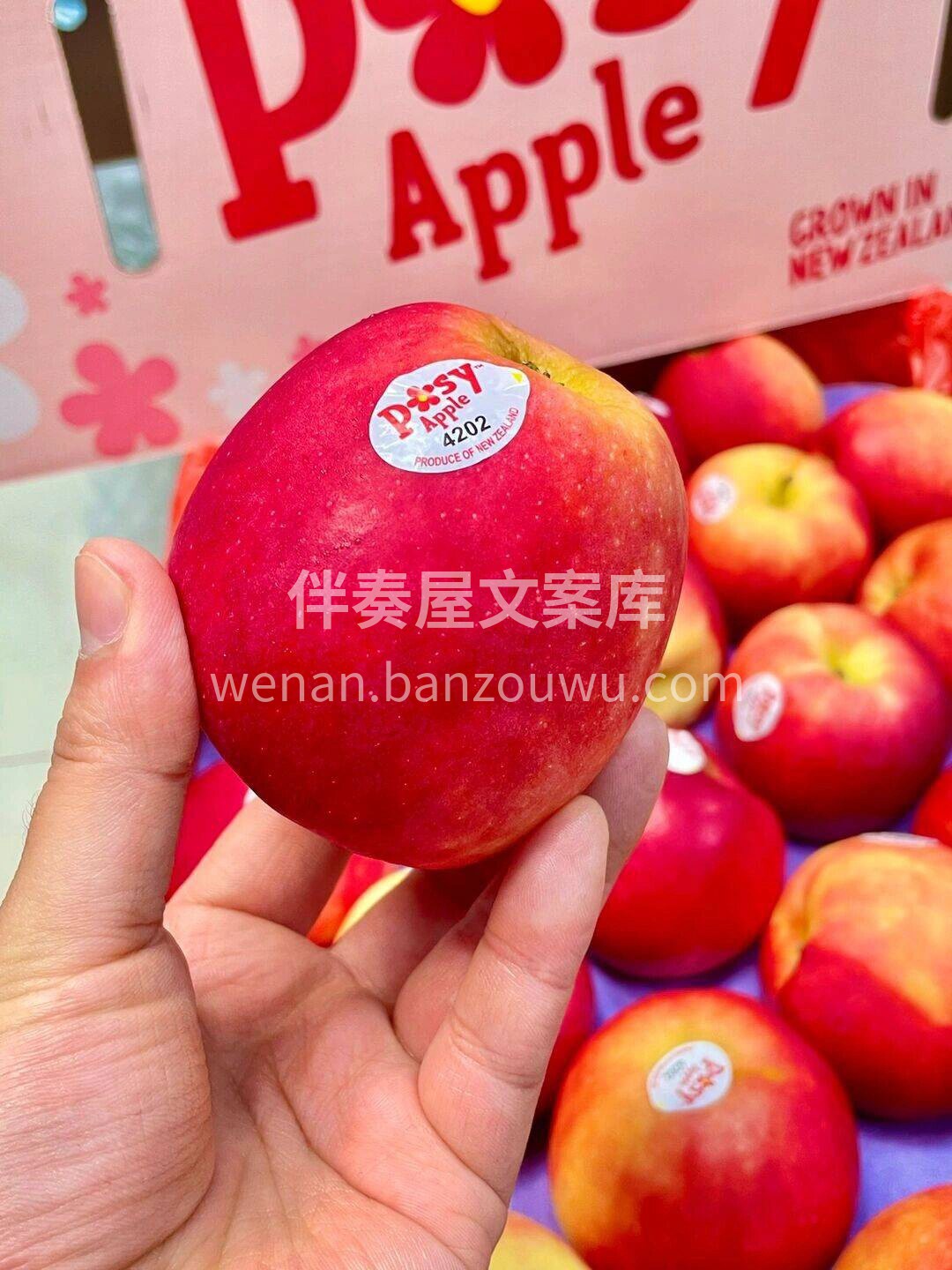 新西兰 • 有机小花苹果🍎新货到 淡淡的 配图3