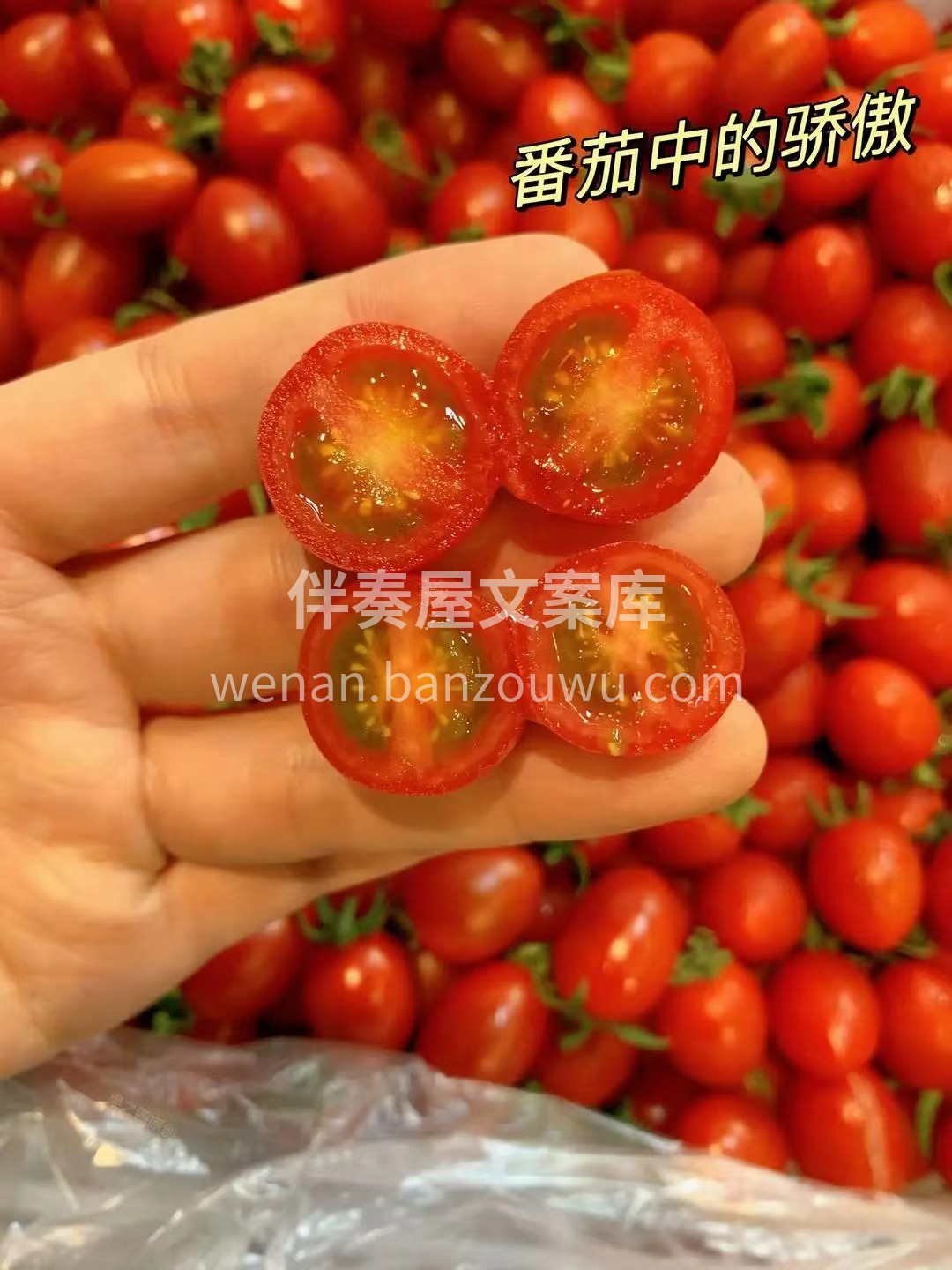 好吃的小柿子！一咬就爆汁💧💧！ 【玲珑千 配图1