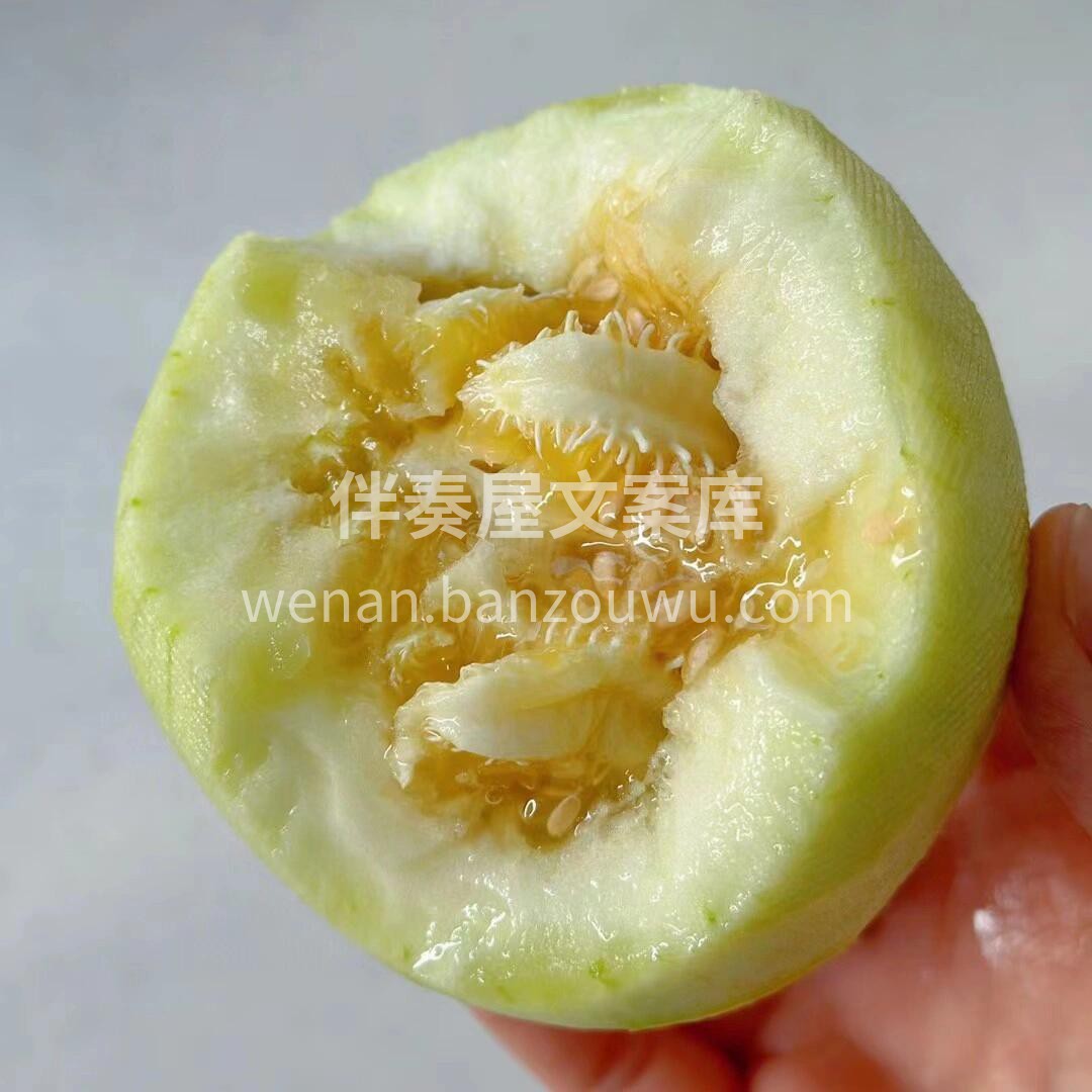 这是什么神仙甜瓜😋马连庄超甜香瓜～ 超级 配图1