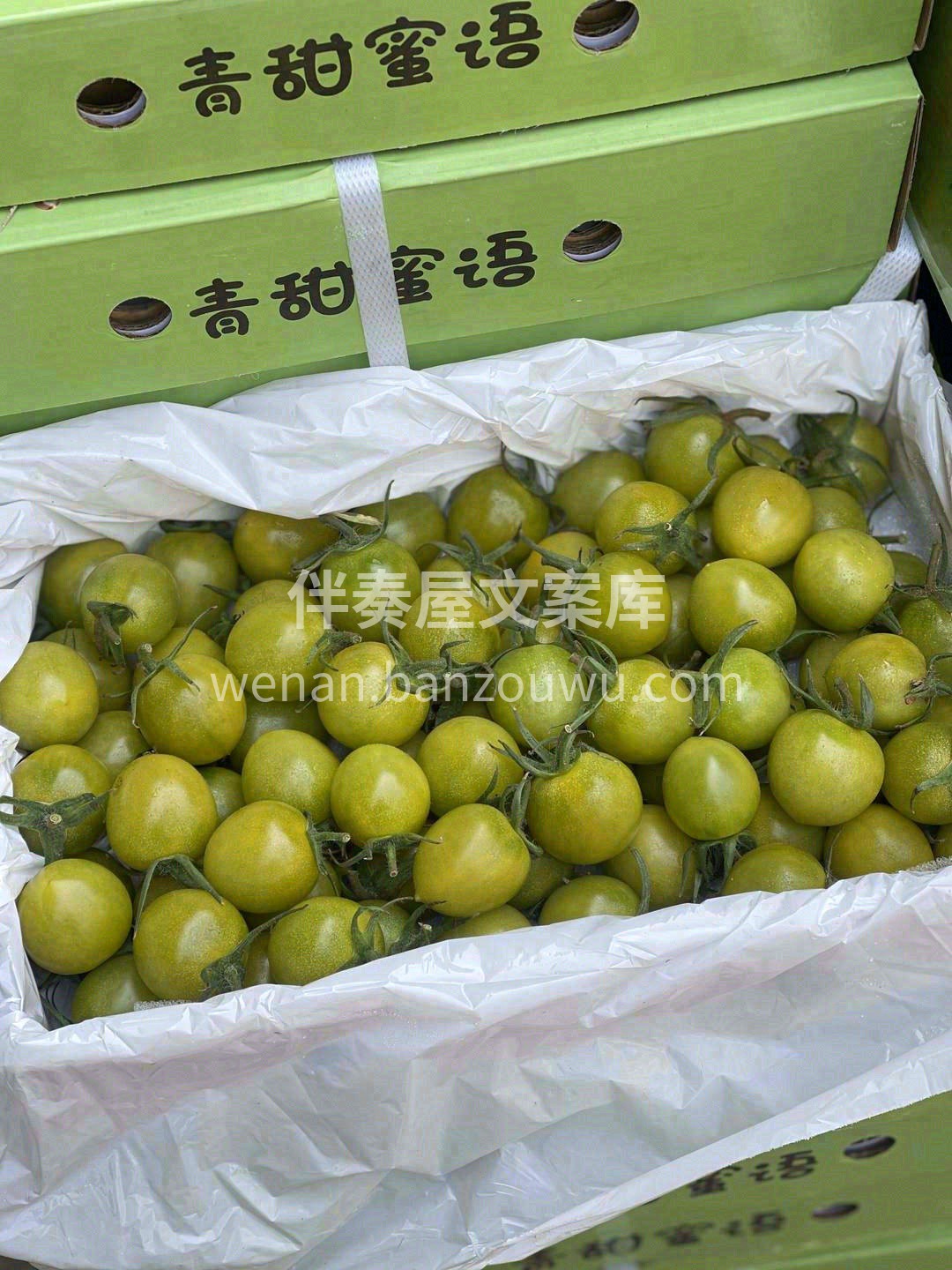 青口蜜——清新脱俗派🌿 带着一股特殊的清 配图3