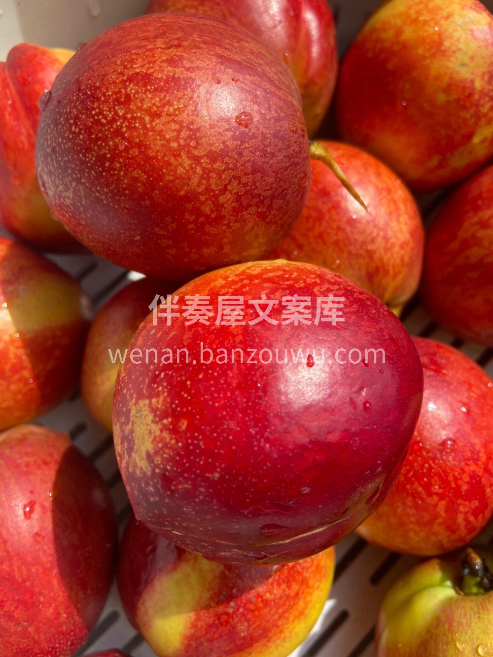 黄心油桃🍑正当时！汁水足桃味浓🍹初夏的第 配图1