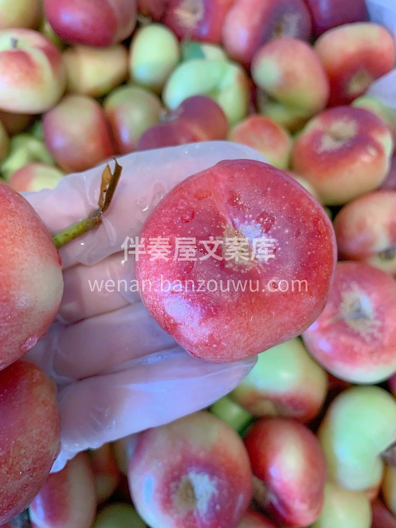 🍑纽扣油蟠桃，稀有珍品👍👍 个头迷你可爱 配图2