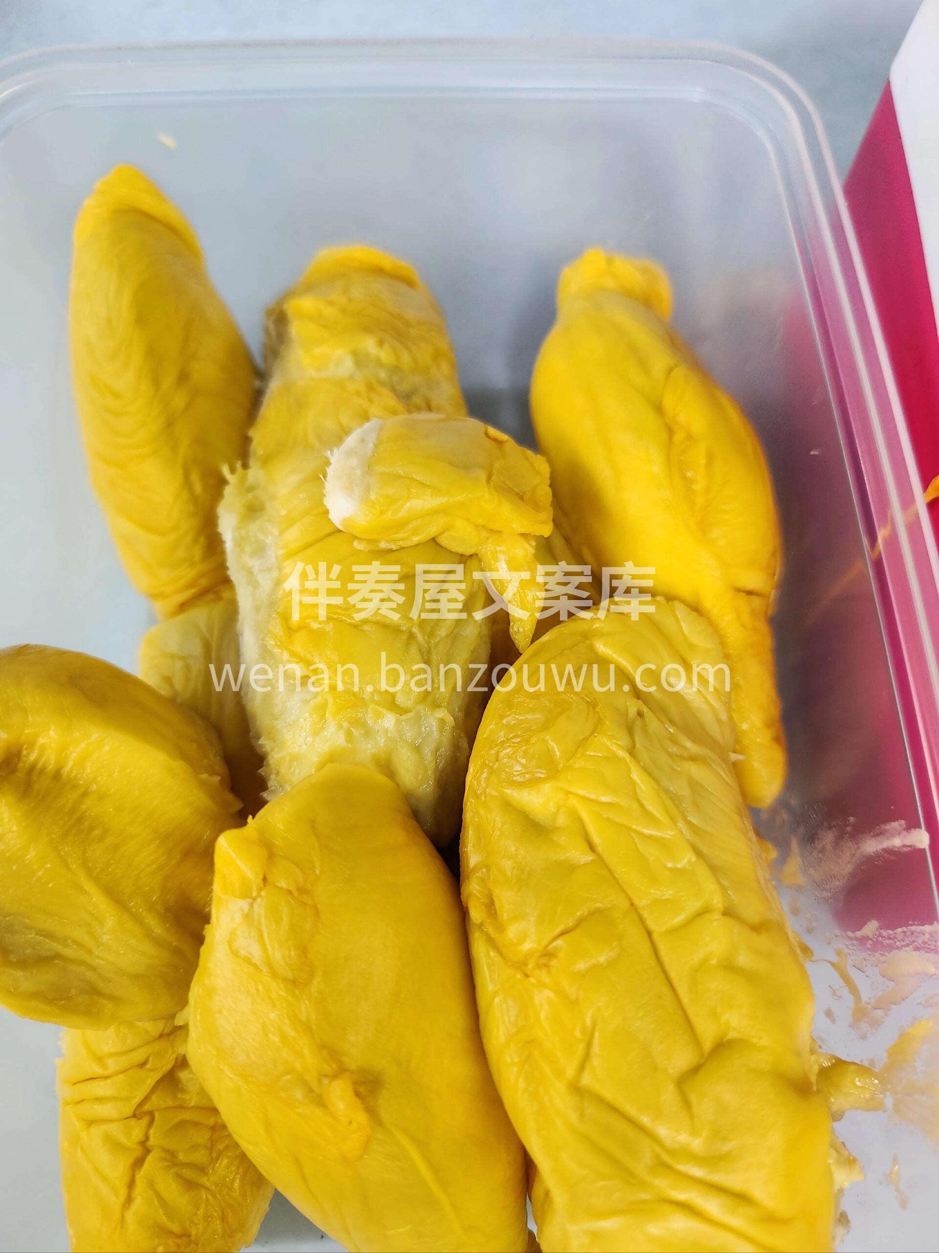 此生不食猫山王尝遍榴莲也枉然‼️ ✔️猫 配图3