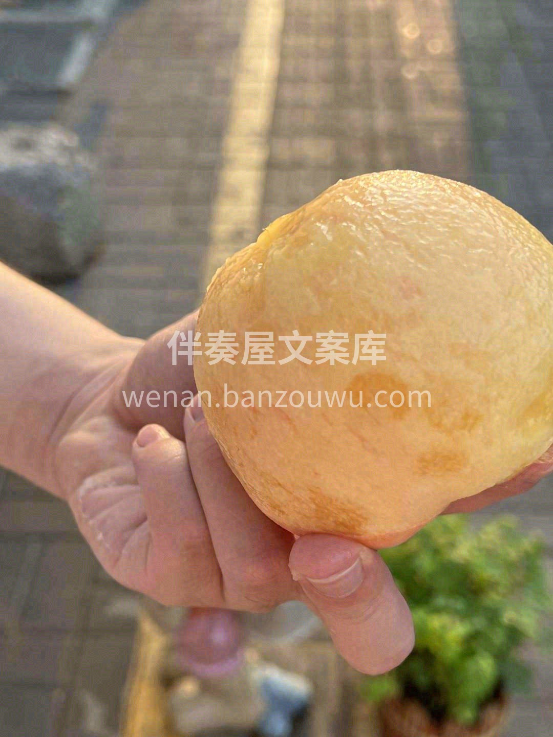🍑桃肉晶莹剔透，粉粉嫩嫩无敌诱人😍 一口 配图1