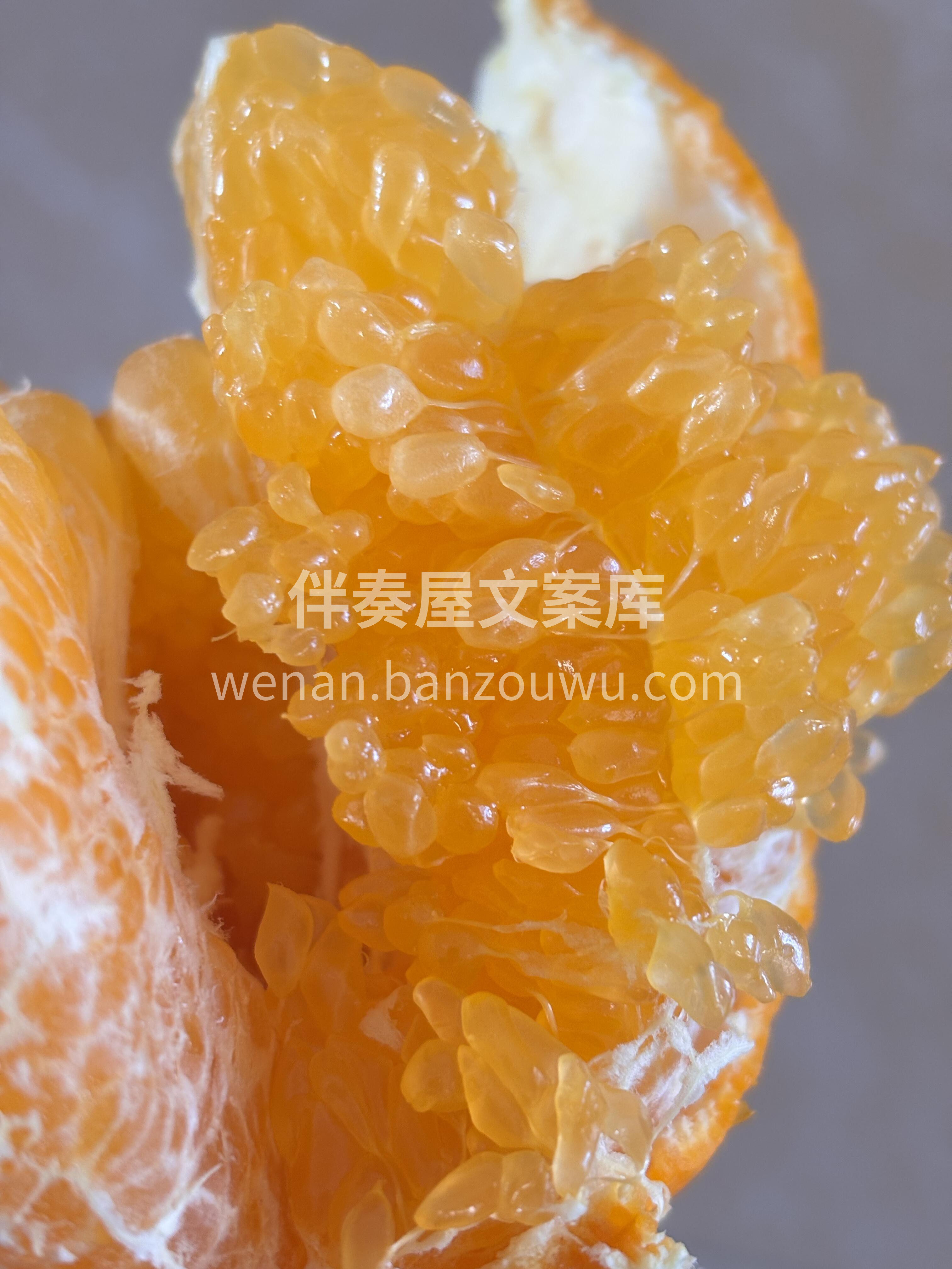 🎉🎉【春见粑粑柑】🍊 爆款💥来袭，带你追 配图2