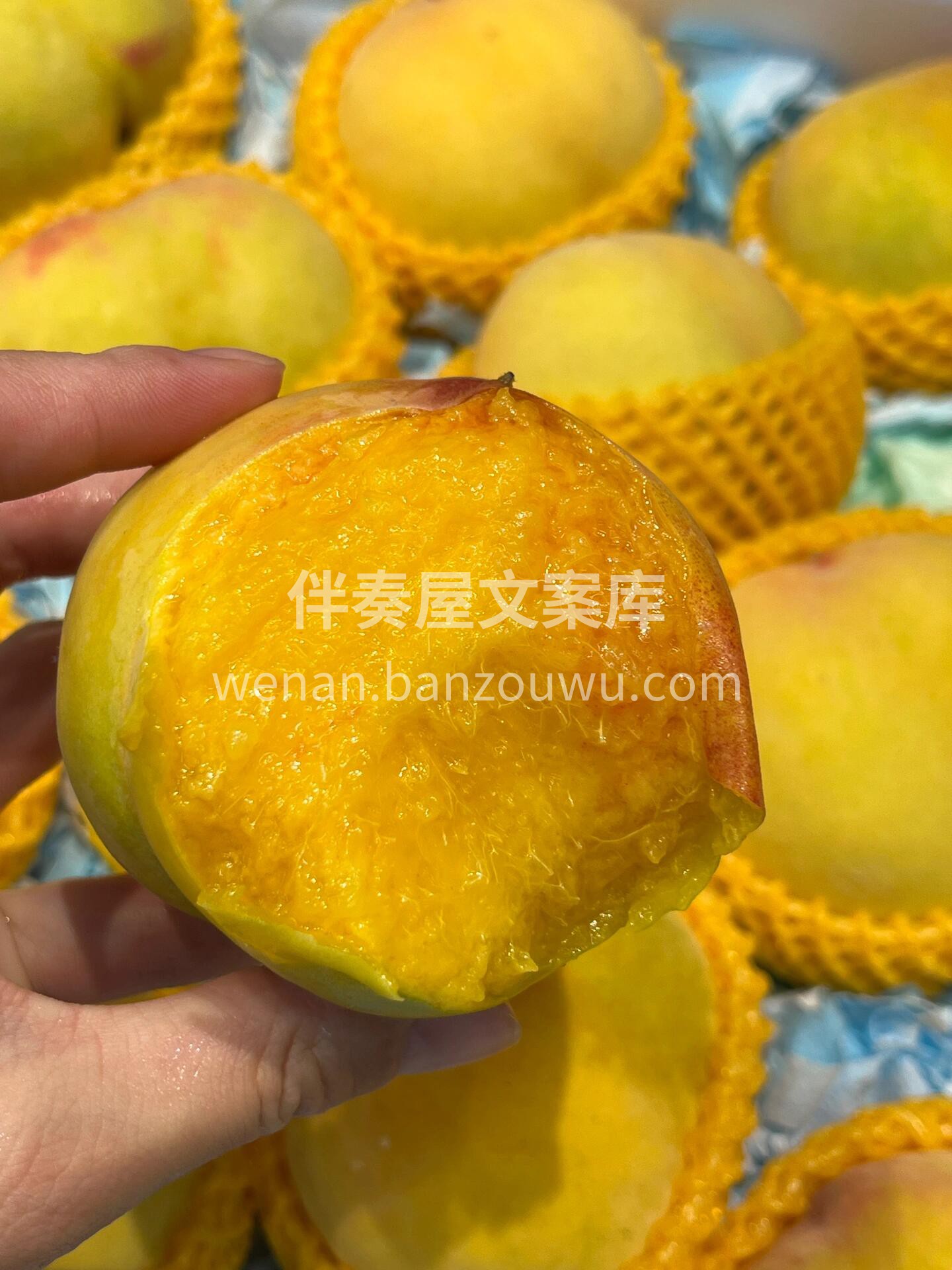 💛黄桃🍑新鲜到货🌱‼️‼️ 有着天下第一 配图3