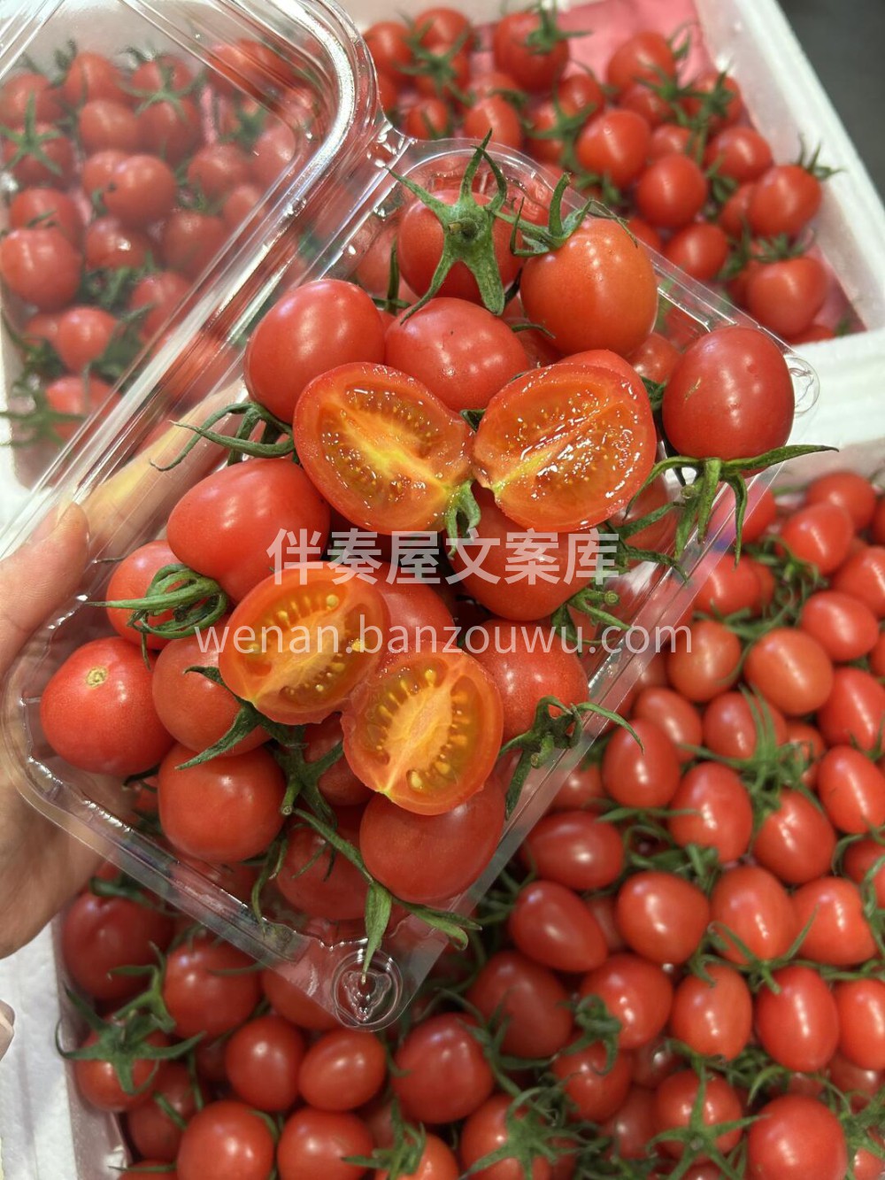 维生素小糖丸🍅太爱吃小番茄了👏减脂期 没 配图3