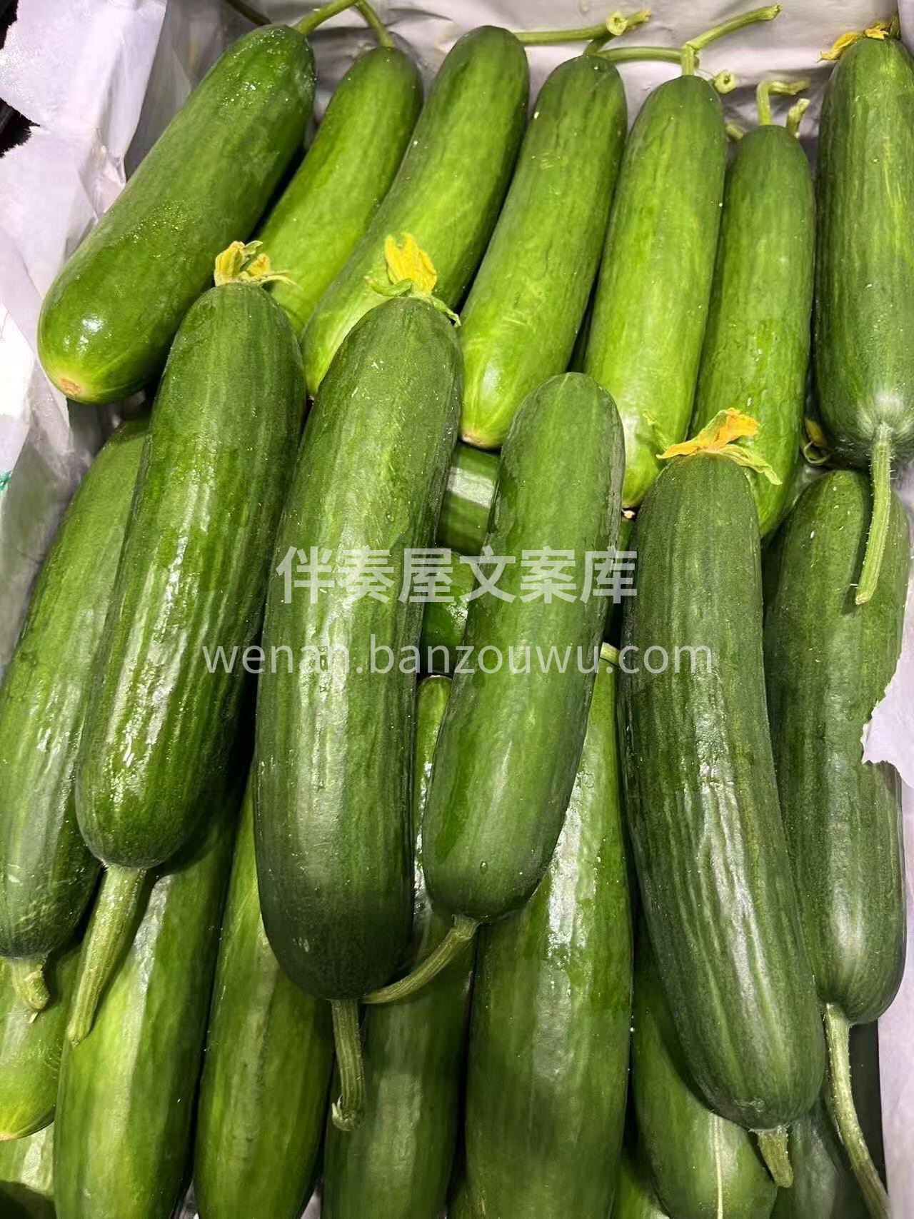 水果青瓜✅🔥口感好！ 🥒无农药生态种植💯 配图2