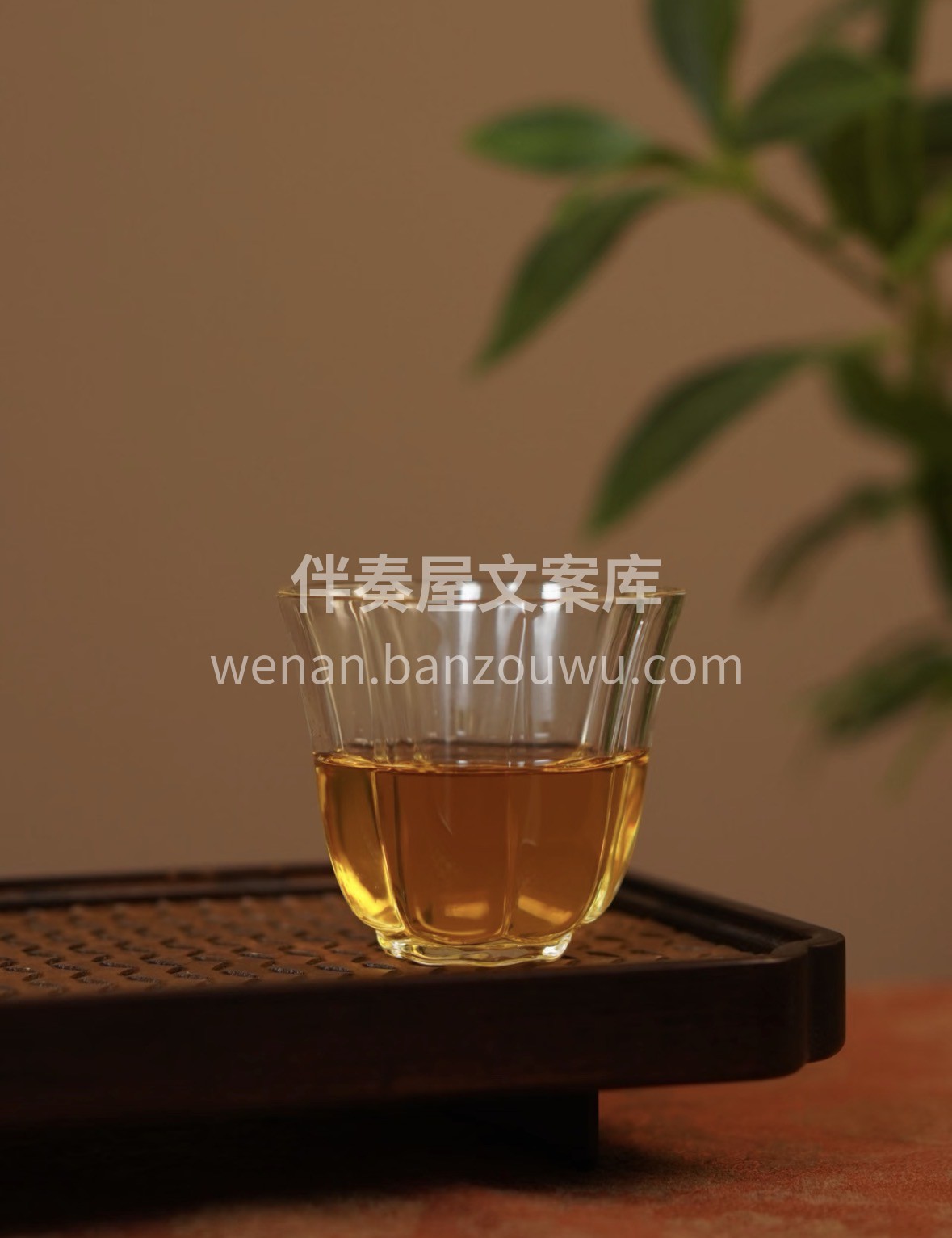 新春年货囤茶正当时✨金丝滇红现可提前预定 配图3