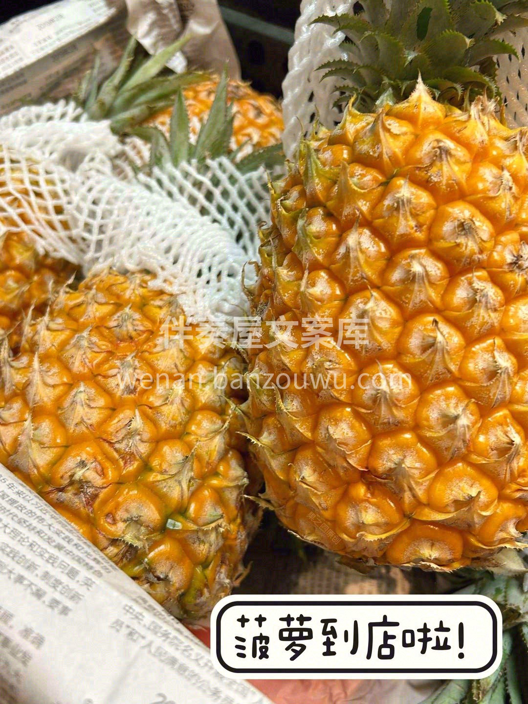 🍍身披龙鳞，头戴凤尾，肉中带金🍍 黄金酸 配图3