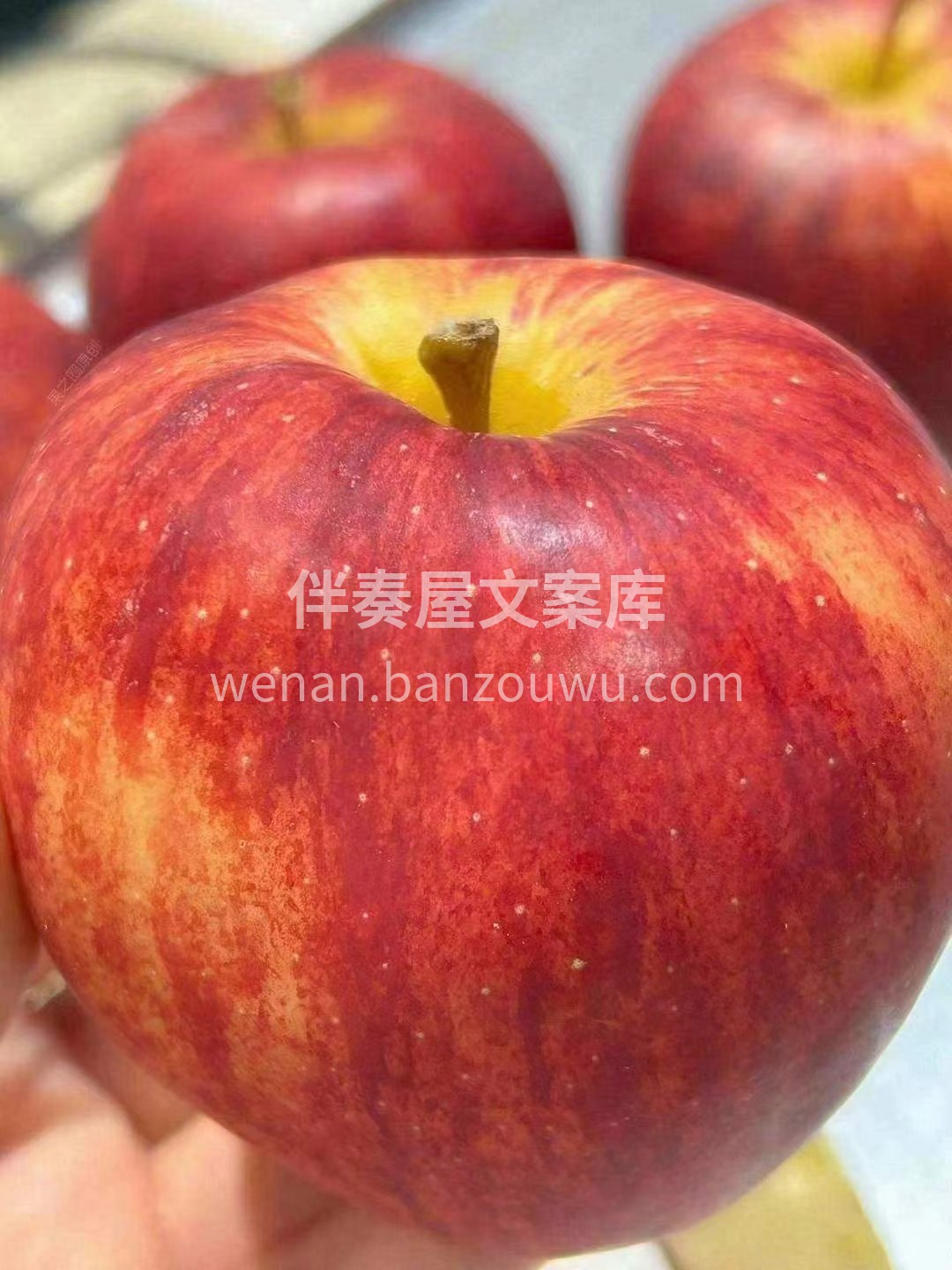 🔆🔆热辣辣的夏天，来一口嘎嘣💥爽脆的加力 配图3