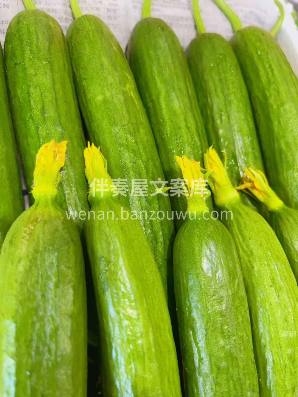 🥒水果小黄瓜🥒酥脆爽口，口感完爆普通黄瓜 配图2