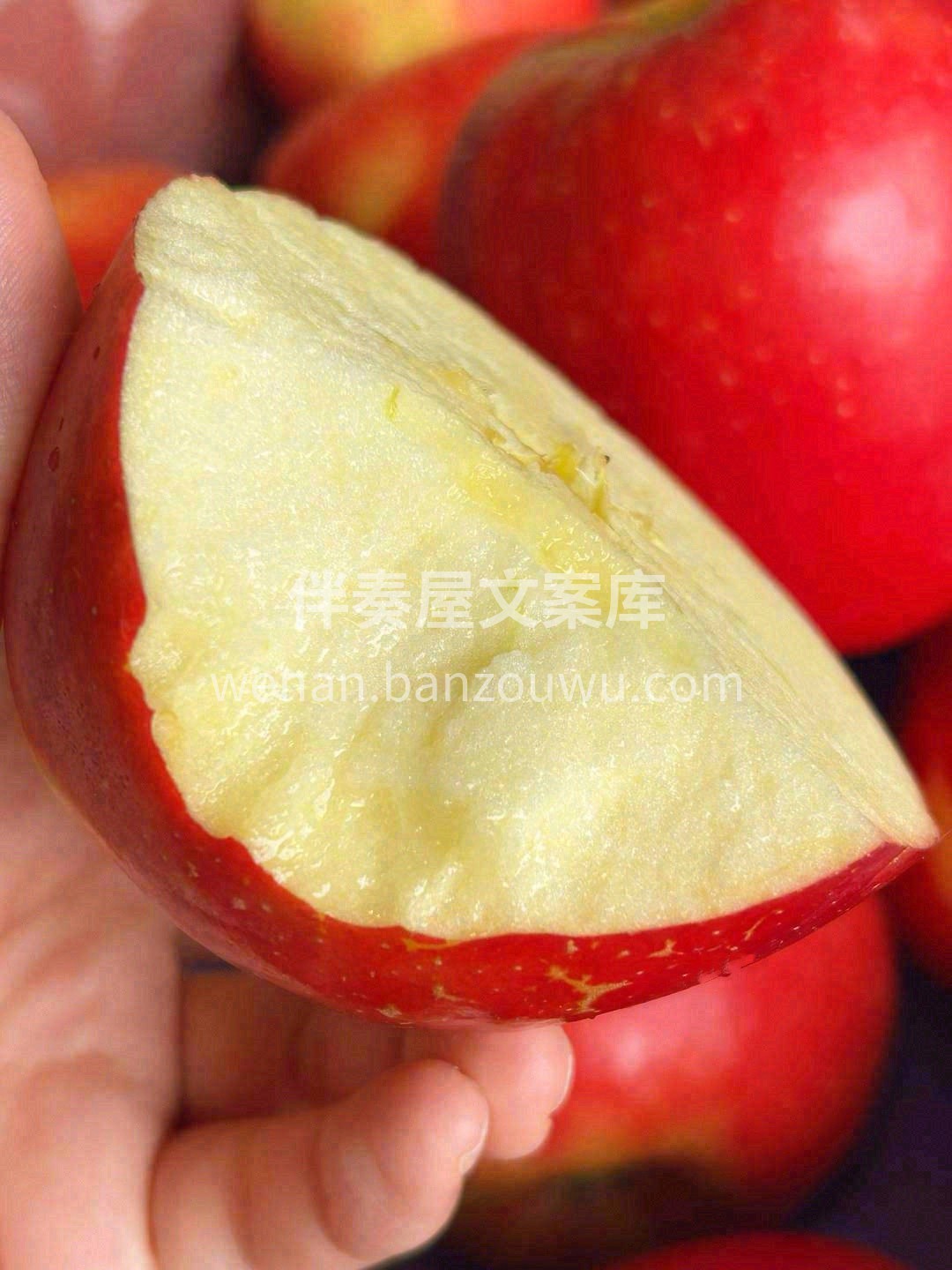 最娇艳的苹果🍎，每一面都如太阳照耀️得红 配图2