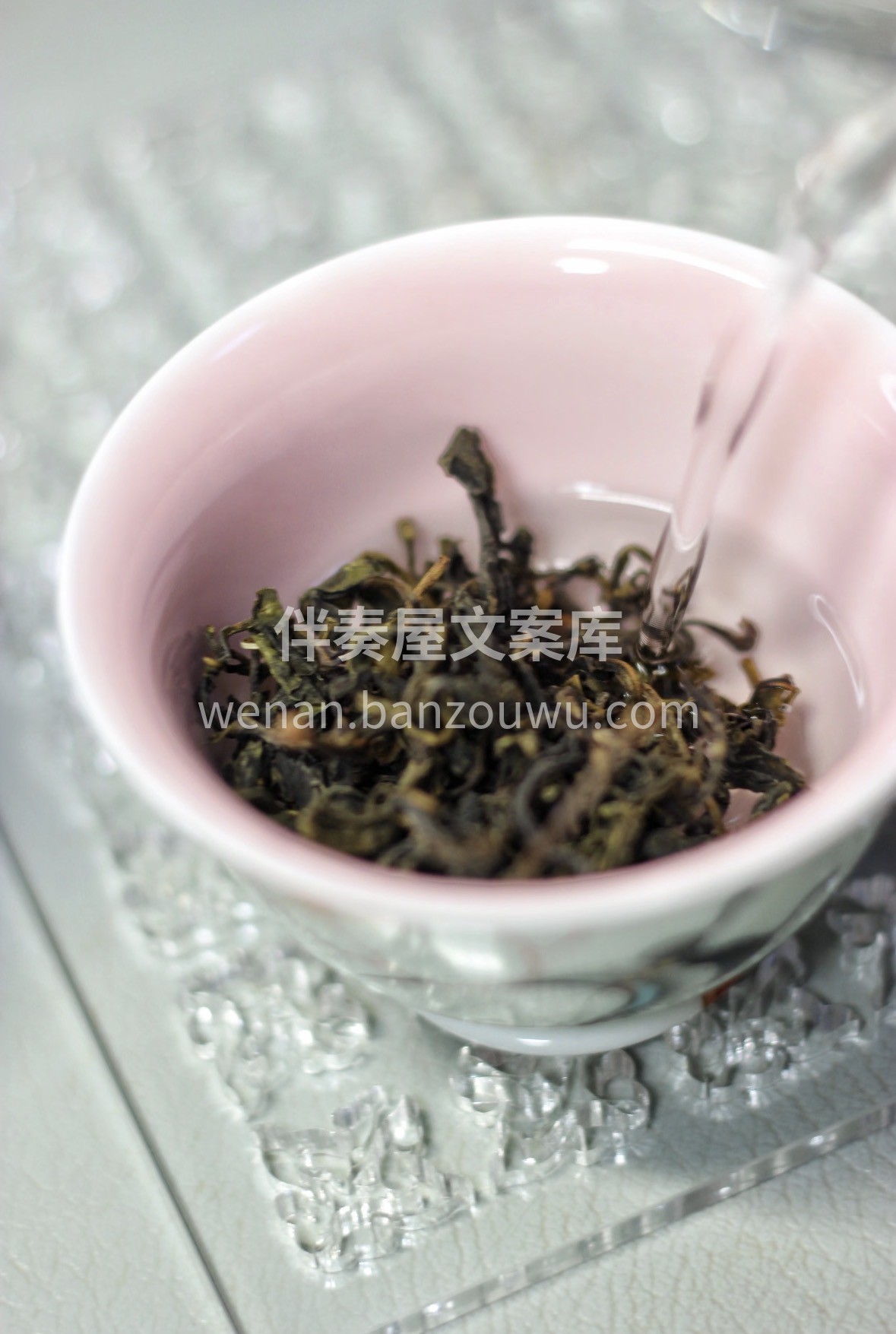 【春茶上新·莫干黄芽】 正宗黄茶工艺，芽 配图3