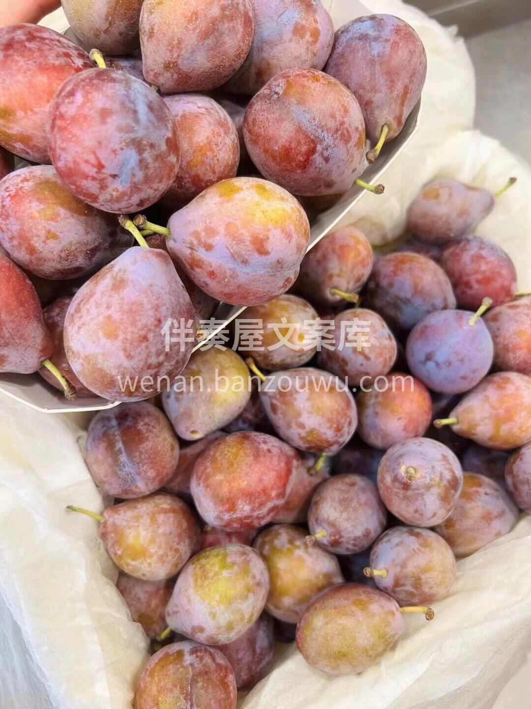 🆕 #当季新品 👑 【超甜西梅🌿 】 超 配图2