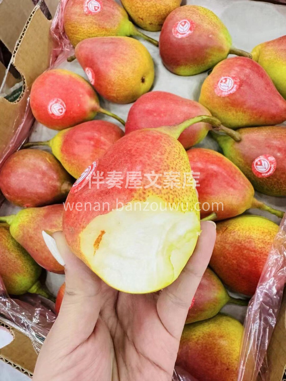 智利🇨🇱红标彩啤梨 美貌与实力并存🫣美貌 配图3