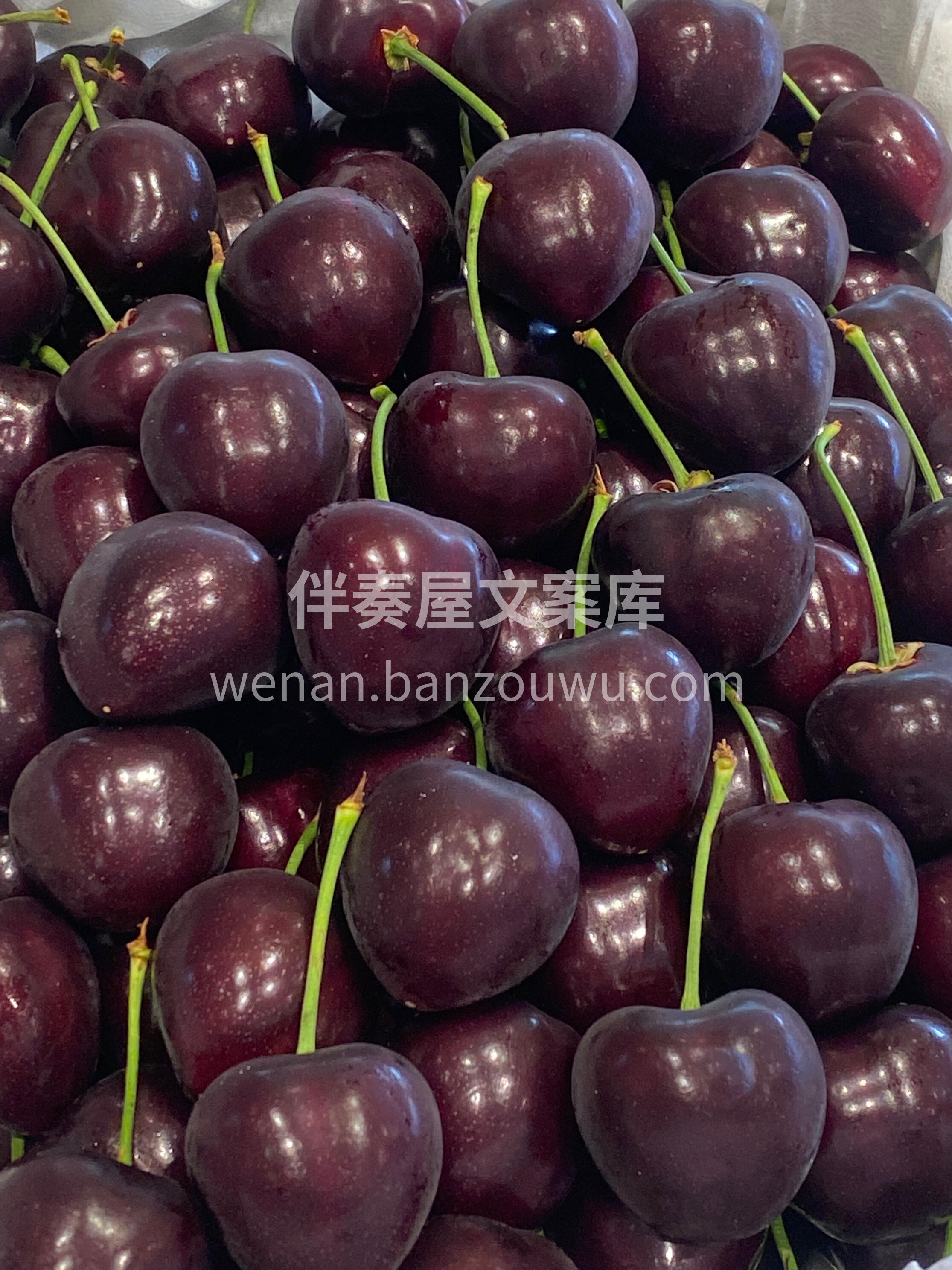 🔥爆款俄八樱桃🍒回归‼️ 颜值很惊艳，瞬 配图3