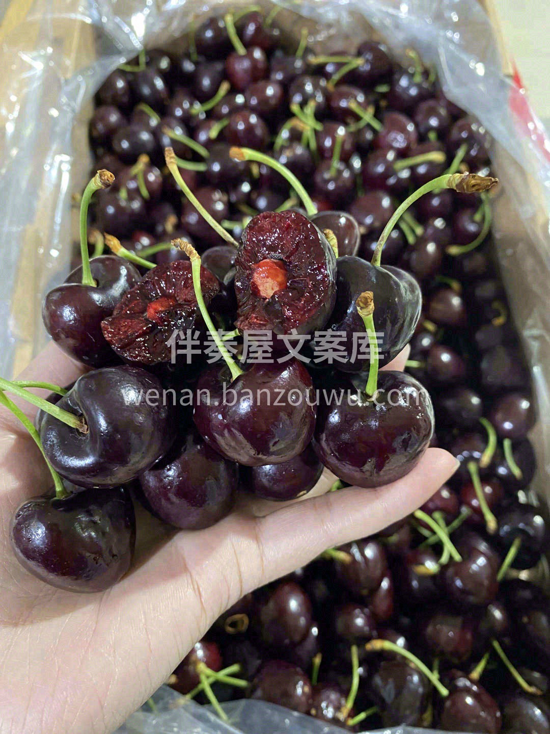 🌿“天然VC之王”、生命之果💗 说的就是 配图2