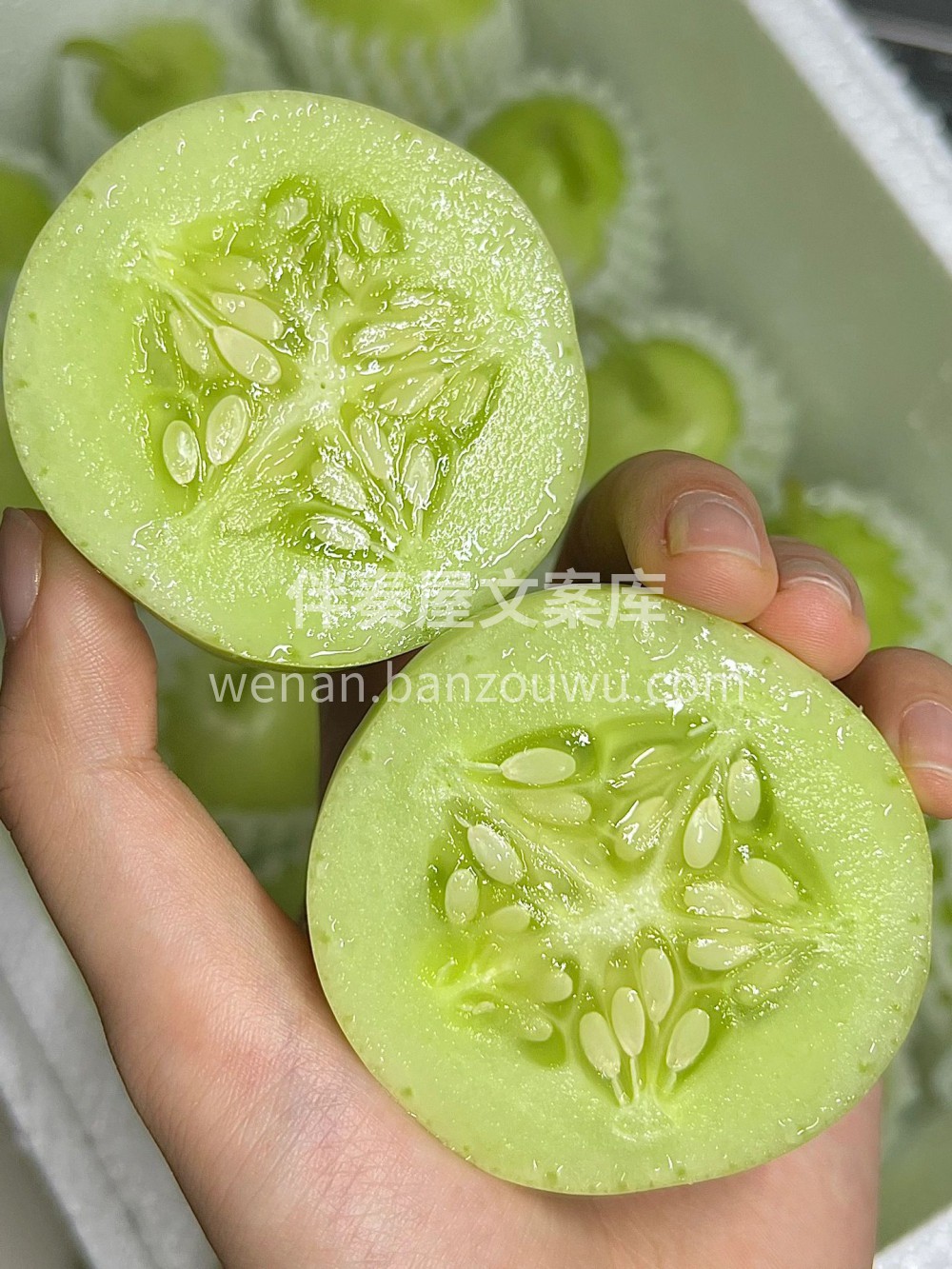 玉女黄瓜🍃可爱胖墩墩的椭圆形🥒 因为品种 配图1