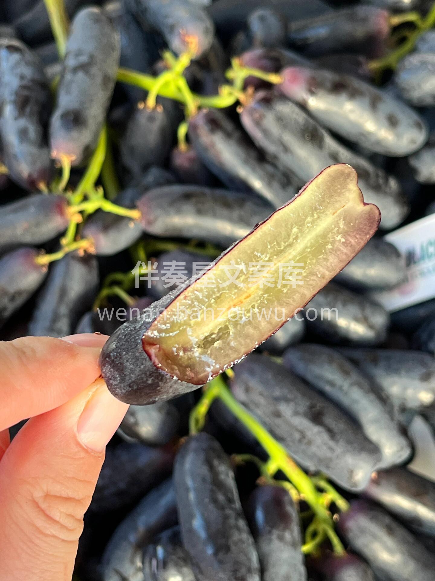 💅美人指蓝宝石🍇 香甜清爽，皮薄如丝，摘 配图2