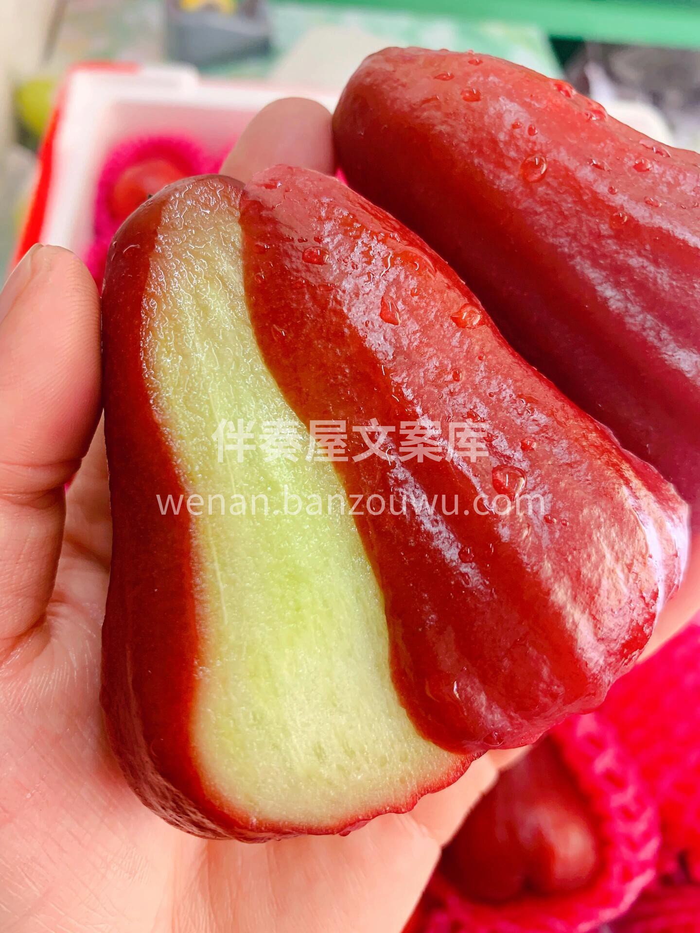 莲雾被誉为“长在树上的矿泉水🌴” 含水量 配图2