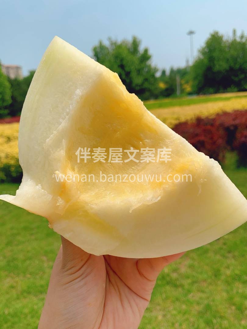 月露蜜瓜拥有小仙女般超高的颜值💅 口感上 配图2