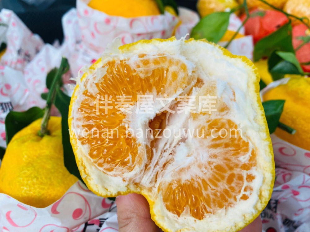 金狐狸粑粑柑届的王牌来咯～ 🎉上嘉金狐狸 配图1