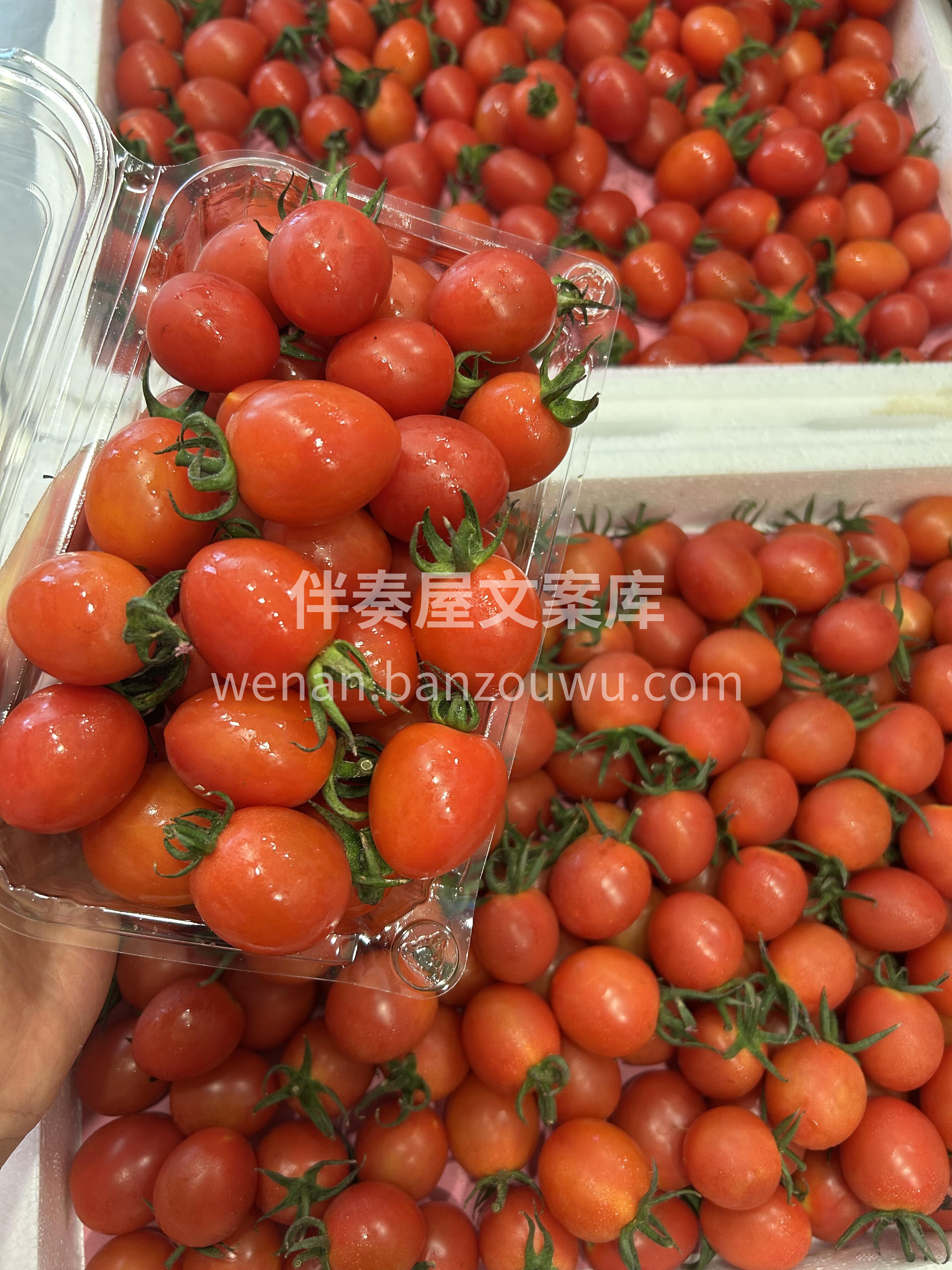🍅电白千禧真的是一口一个的幸福感🎊 清香 配图3
