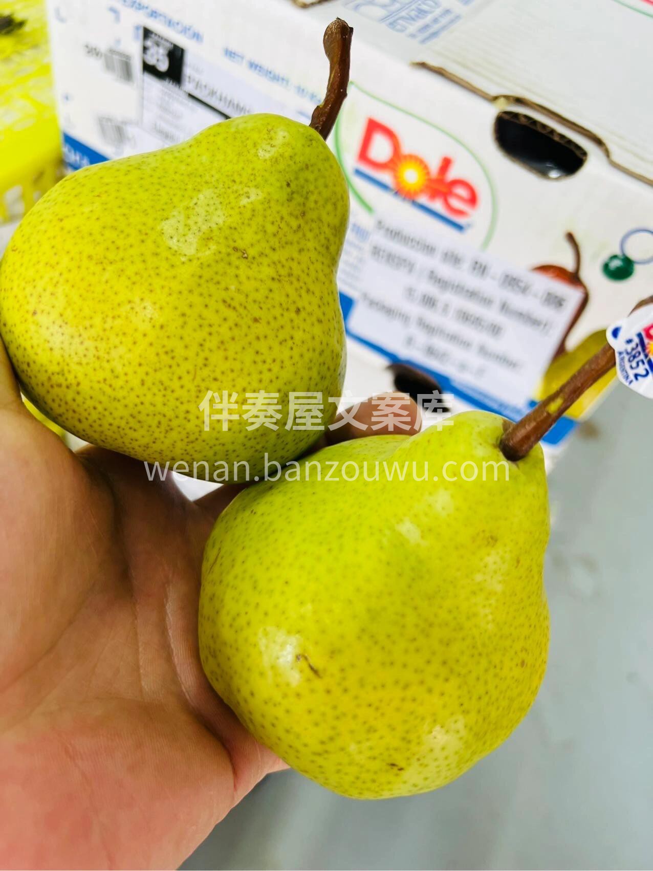 ☘️都乐大头梨?都乐大头梨?核非常小 果 配图2