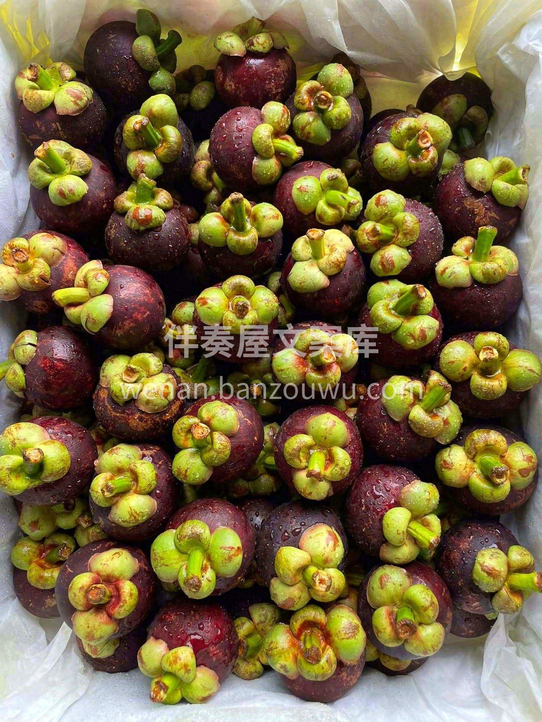上新🎉泰国空运山竹🛫 远道而来的朋友，带 配图3