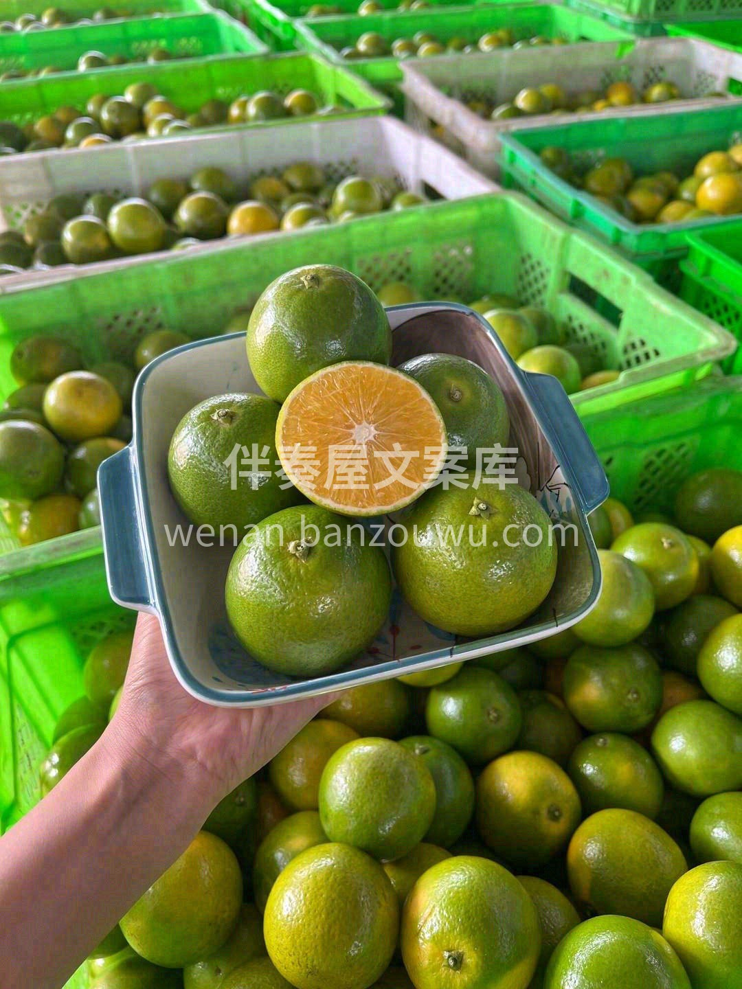 味道是柠檬🍋，青皮桔，橙子🍊的结合体 酸 配图1