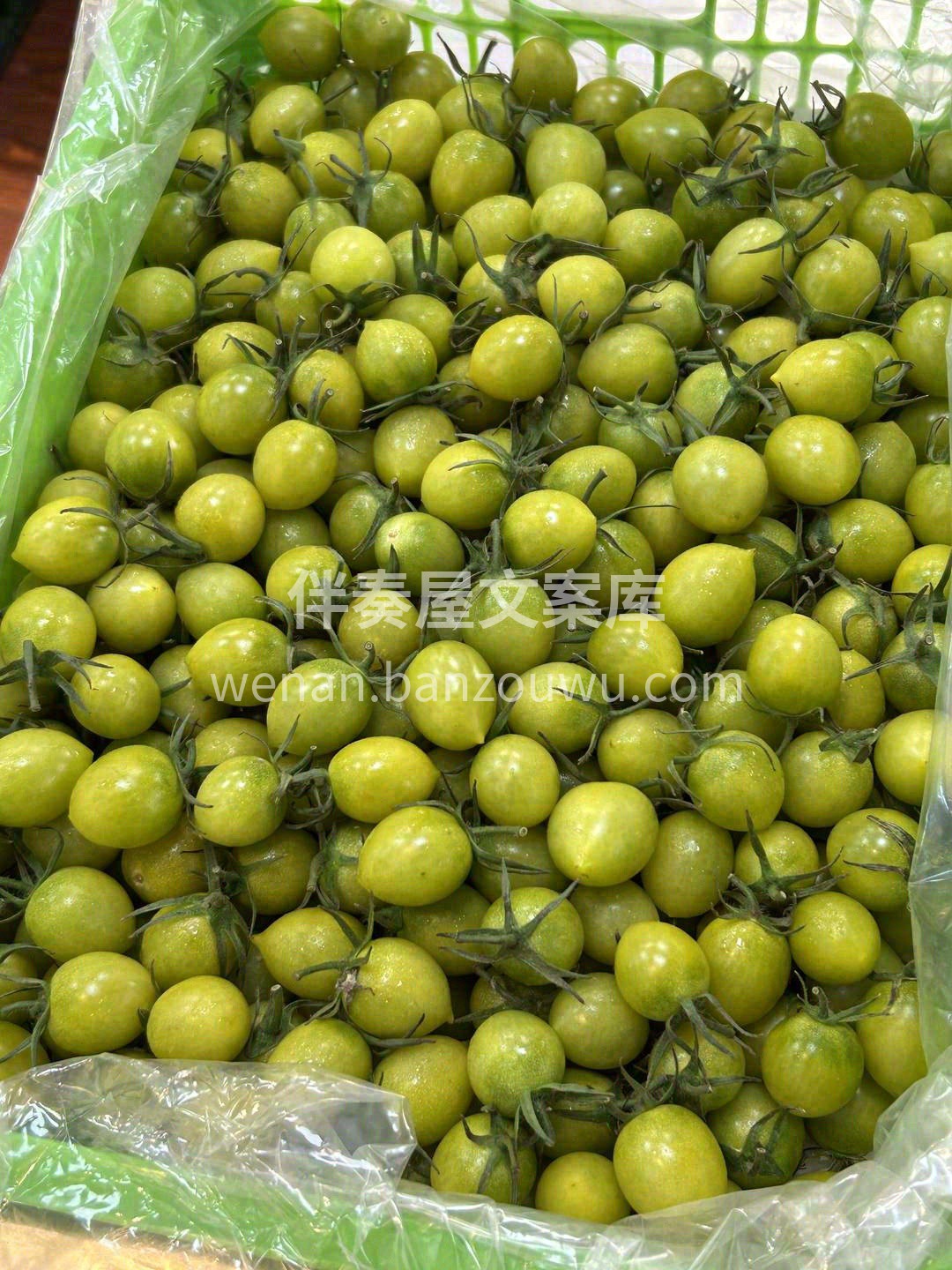 青口蜜有股清香的果味🍅 硬脆多汁💦💦，吃 配图3
