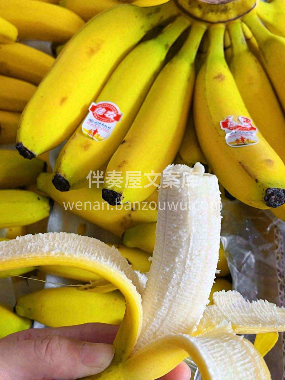 一日一香蕉🍌营养又健康👍 香蕉中富含碳水 配图3