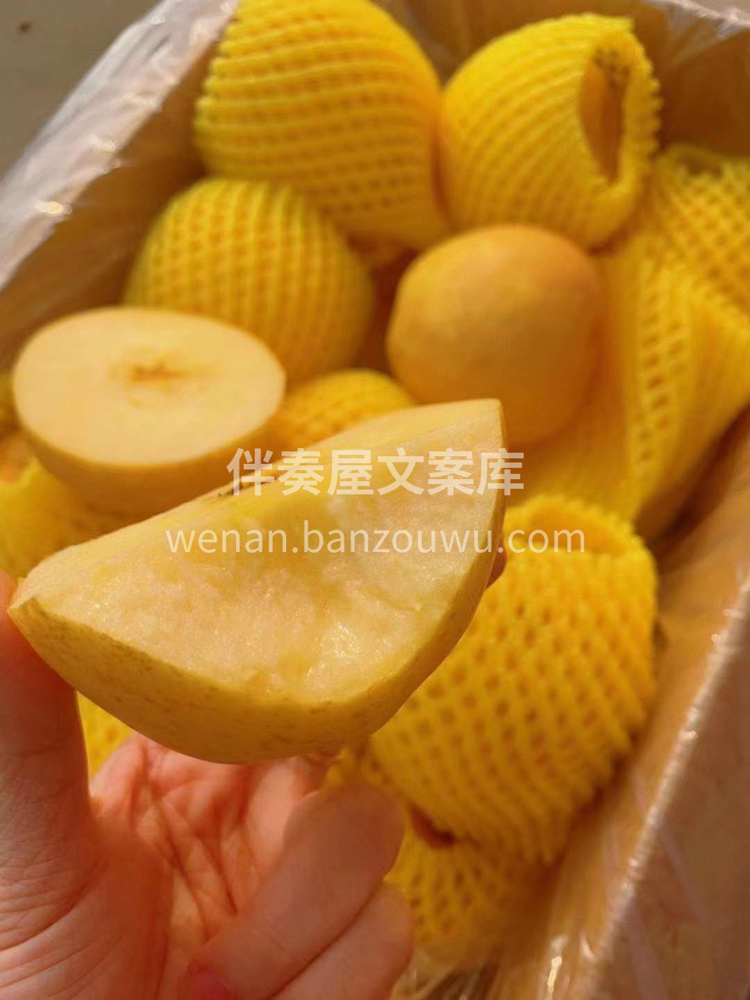 《黄金维纳斯苹果🍎》 维纳斯苹果：“锈” 配图1