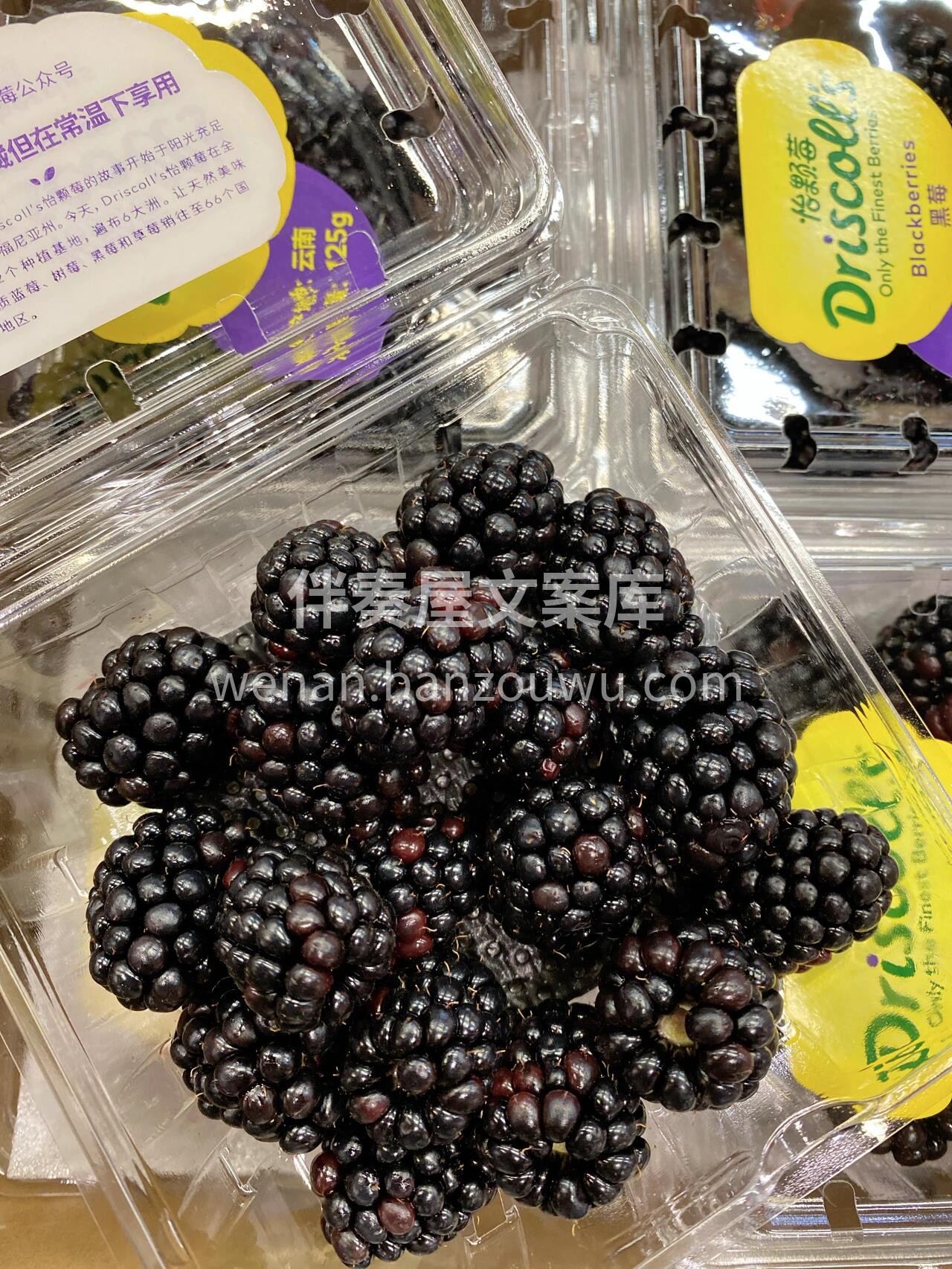 这么优秀的黑树莓✔️ 没有理由不分享给你 配图2