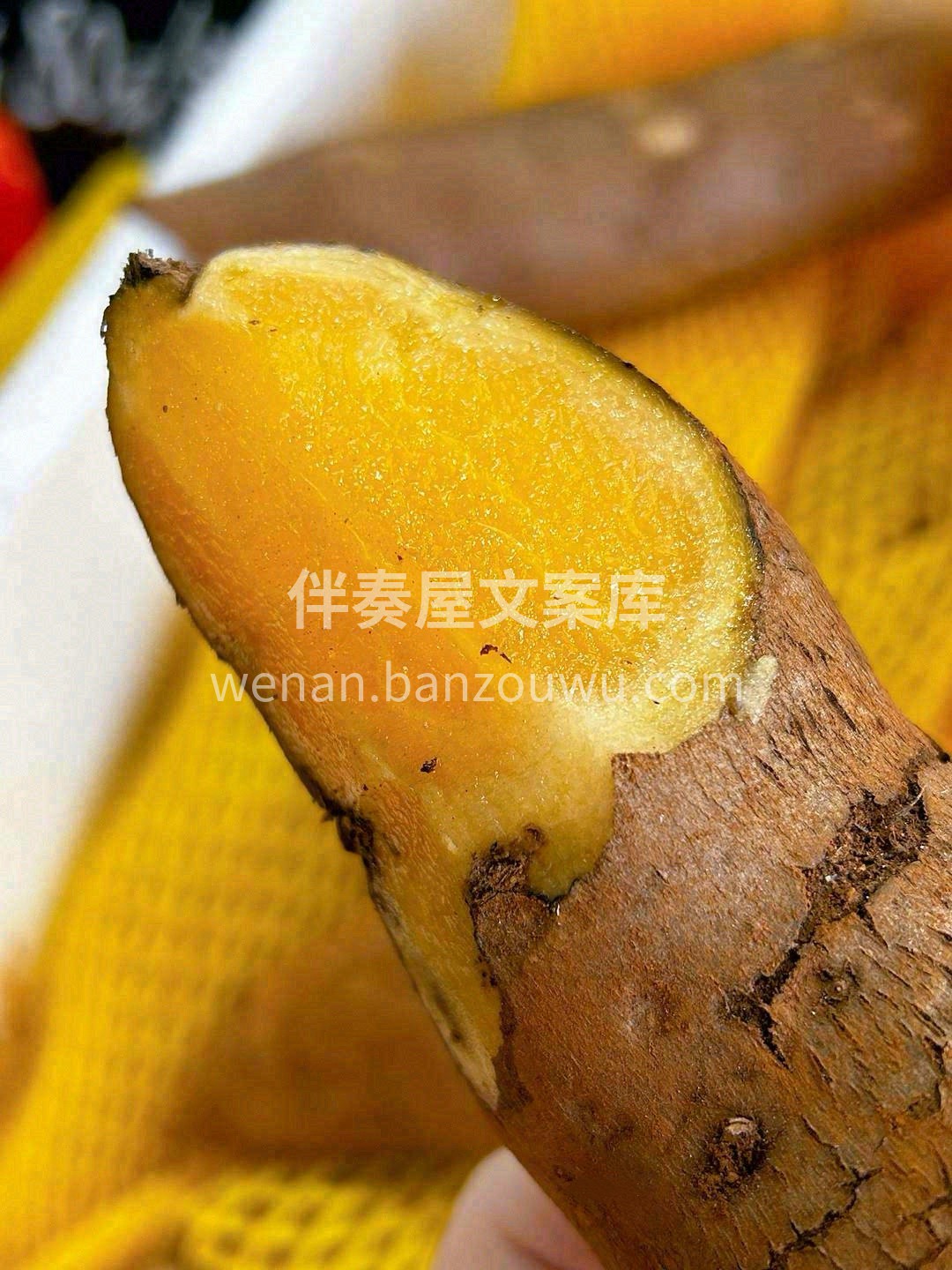 看着像地瓜🍠，洗干净削皮后就是一个水灵灵 配图1