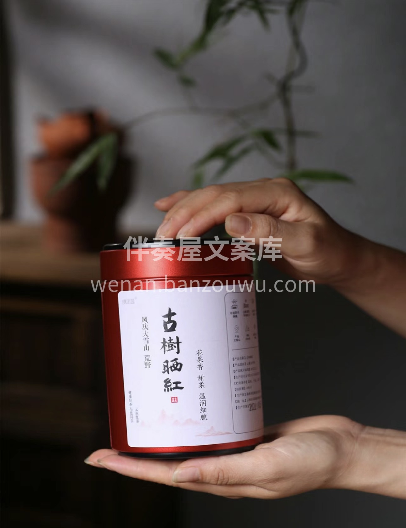 品味这一杯红茶，如暖日般的色泽，醇厚而甘 配图3