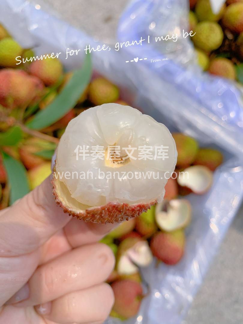 广东妃子笑色泽鲜艳，果肉细嫩爽脆，入口清 配图1