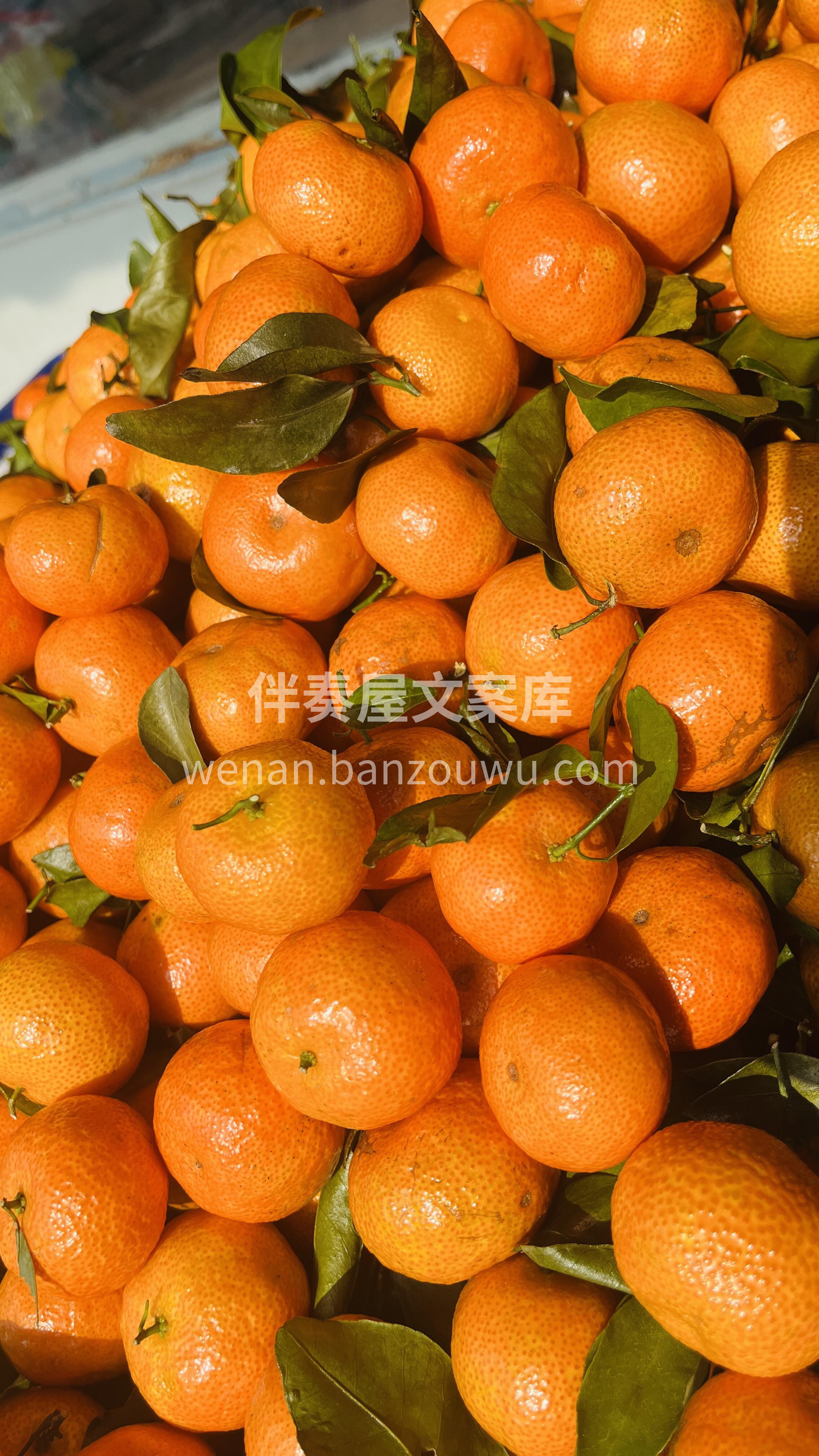 好吃的砂糖橘🍊来啦‼️‼️ 个个光滑饱满 配图2