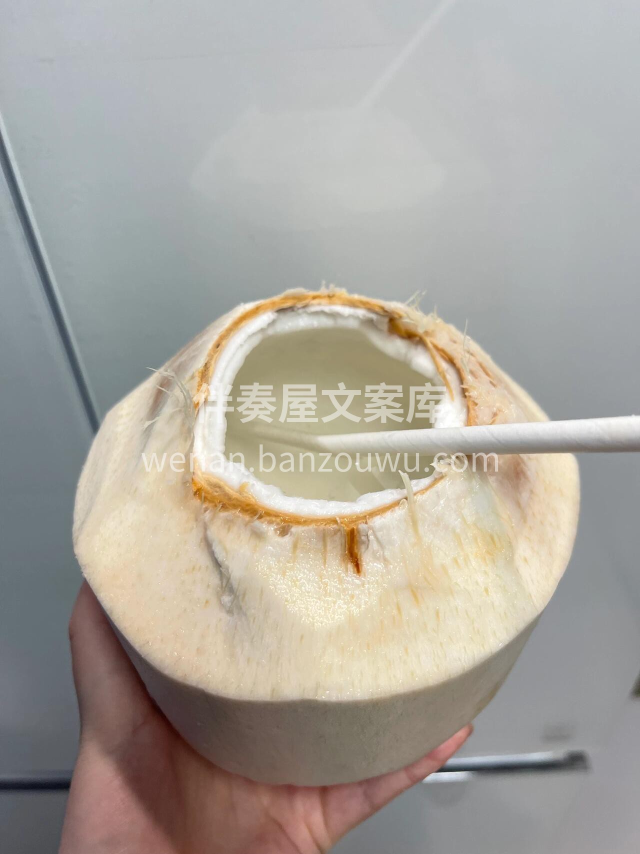 🥥椰青这种东西真的要试试‼️ 现开现喝才 配图2