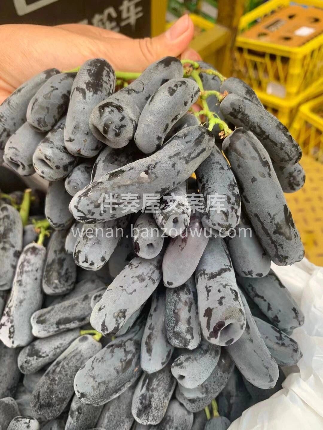 今天金手指黑提的品质不要太优秀哦😍 生活 配图3