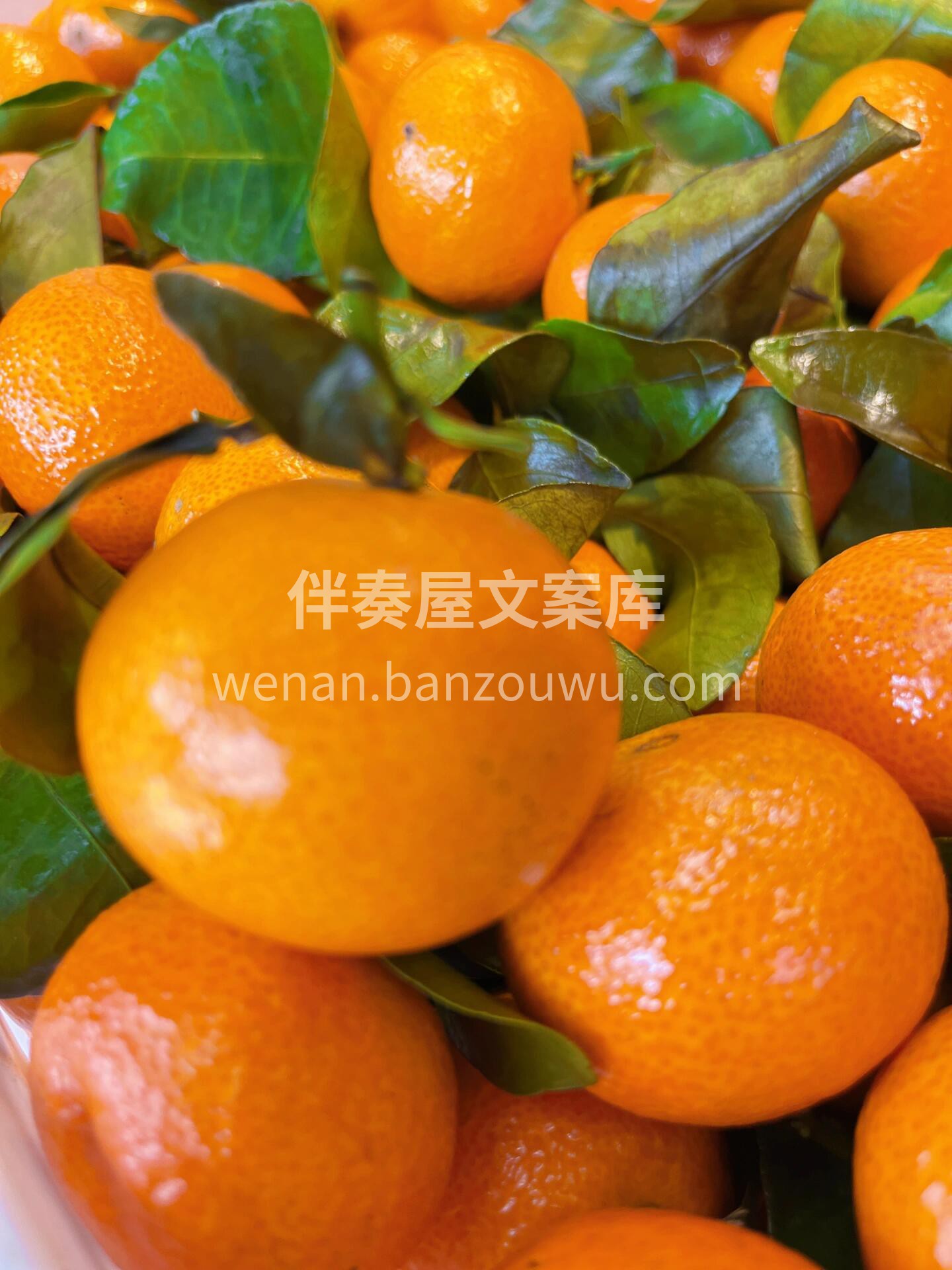🍊砂糖橘开炫🙋 冬日里的一份专属滋润💋~ 配图1