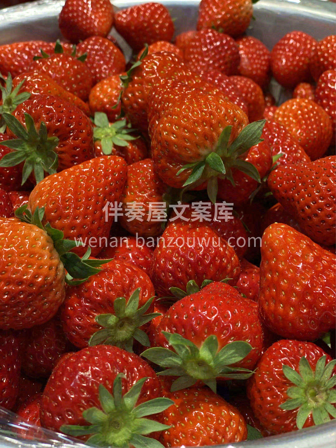 🌈冬日遗落人间的红宝石，通身红彤彤，娇艳 配图1