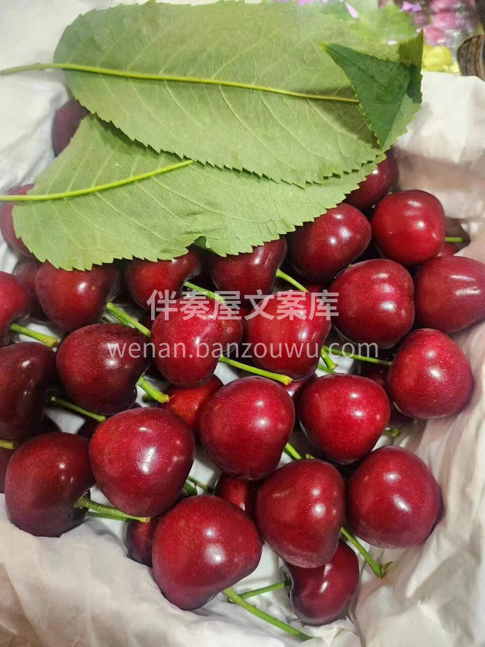 🍒美早大樱桃🍒好多宝宝问的水果💯含有丰富 配图1
