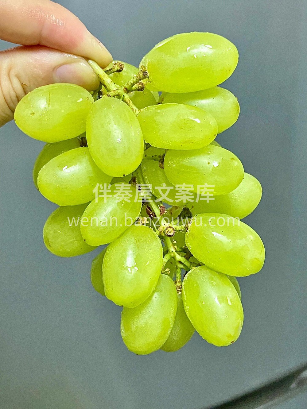 这么多提子真的吃不完🍇但是它好便宜啊！实 配图1