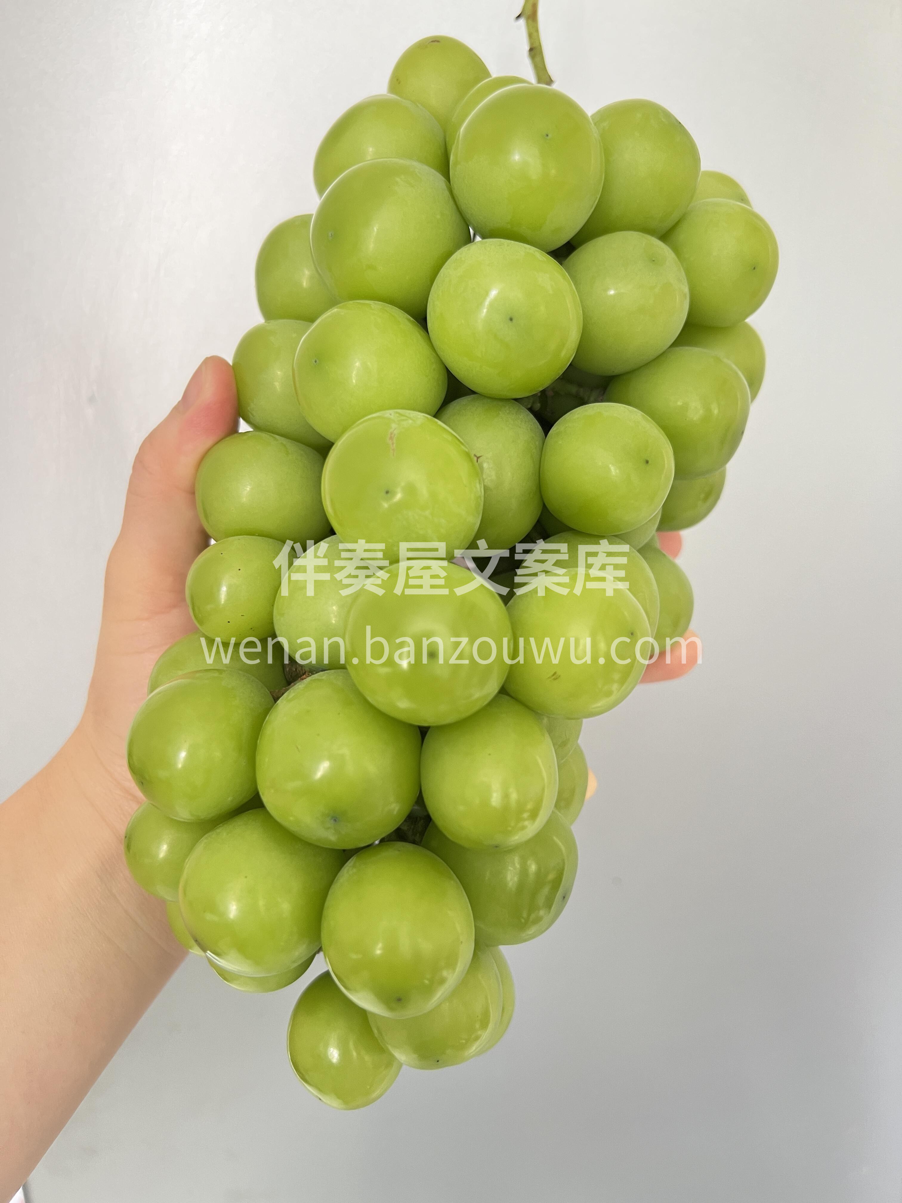 这个时节的晴王最甜✔️✔️ 正所谓：不吃 配图1