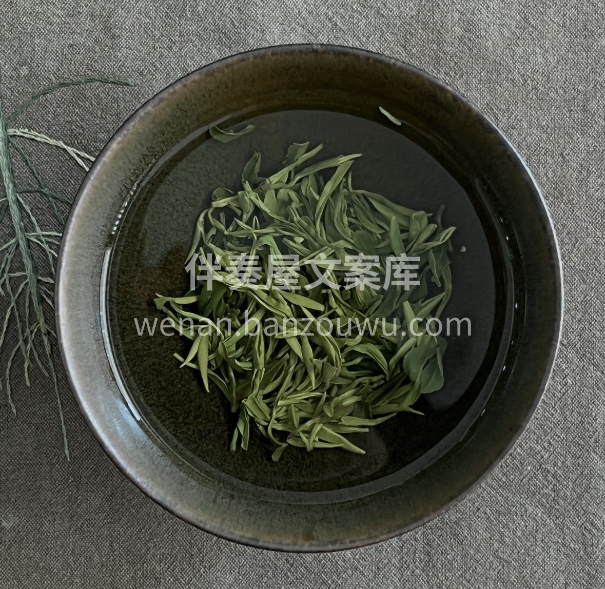 三月春茶季｜莫干黄芽限量发售 高山云雾茶 配图1