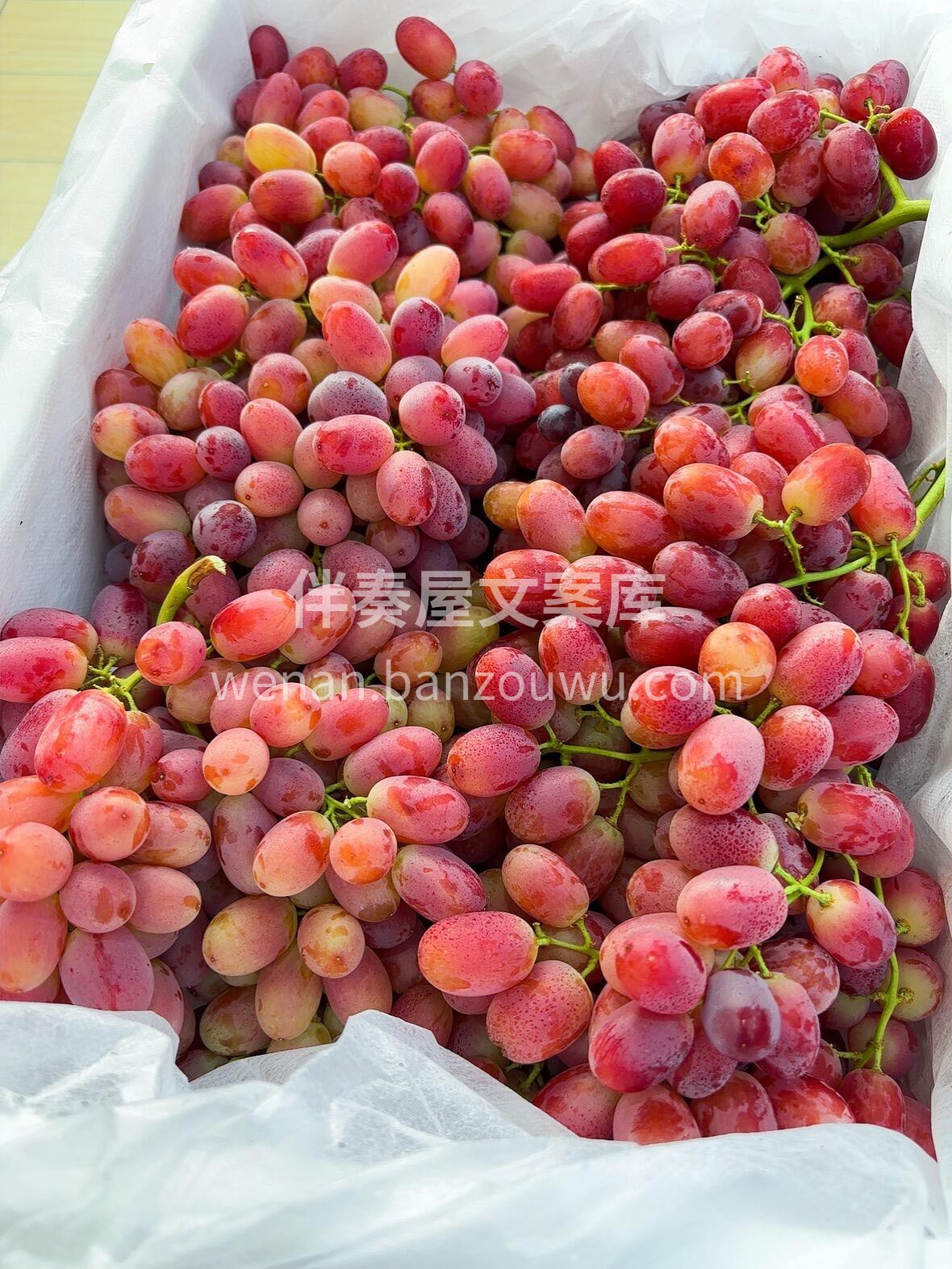 脆甜无籽提🍇 克伦生无籽红提🍇巨新鲜🍃， 配图2