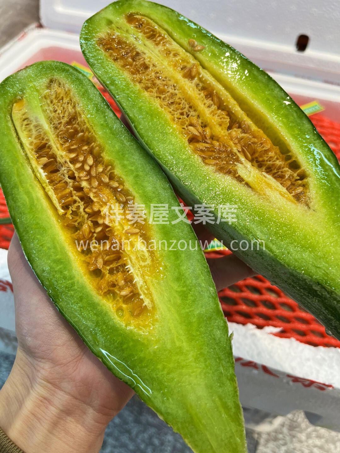 【羊角蜜】甜瓜🥒 ‼️‼️👉吃瓜群众👈‼ 配图2