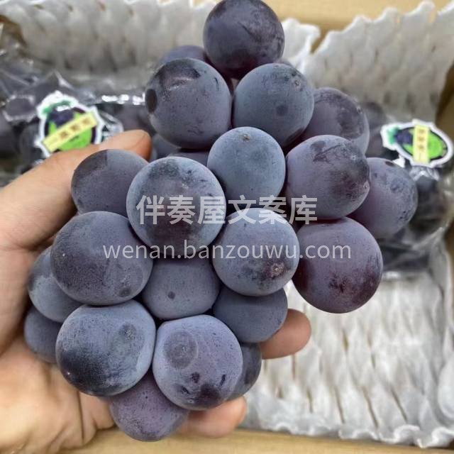 一藤福安巨峰葡萄🍇 夏天的快乐来一串巨峰 配图2